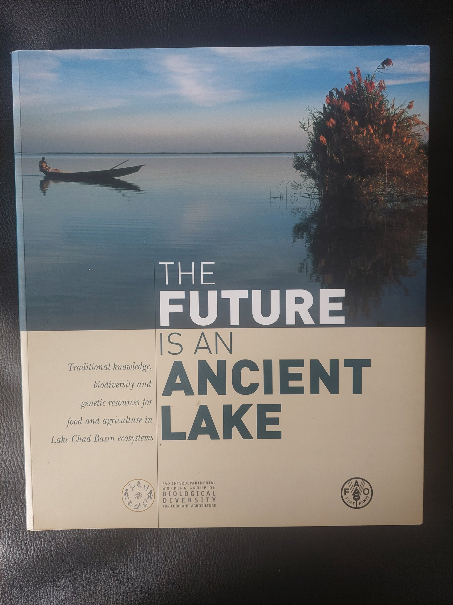 The future is an ancient lake