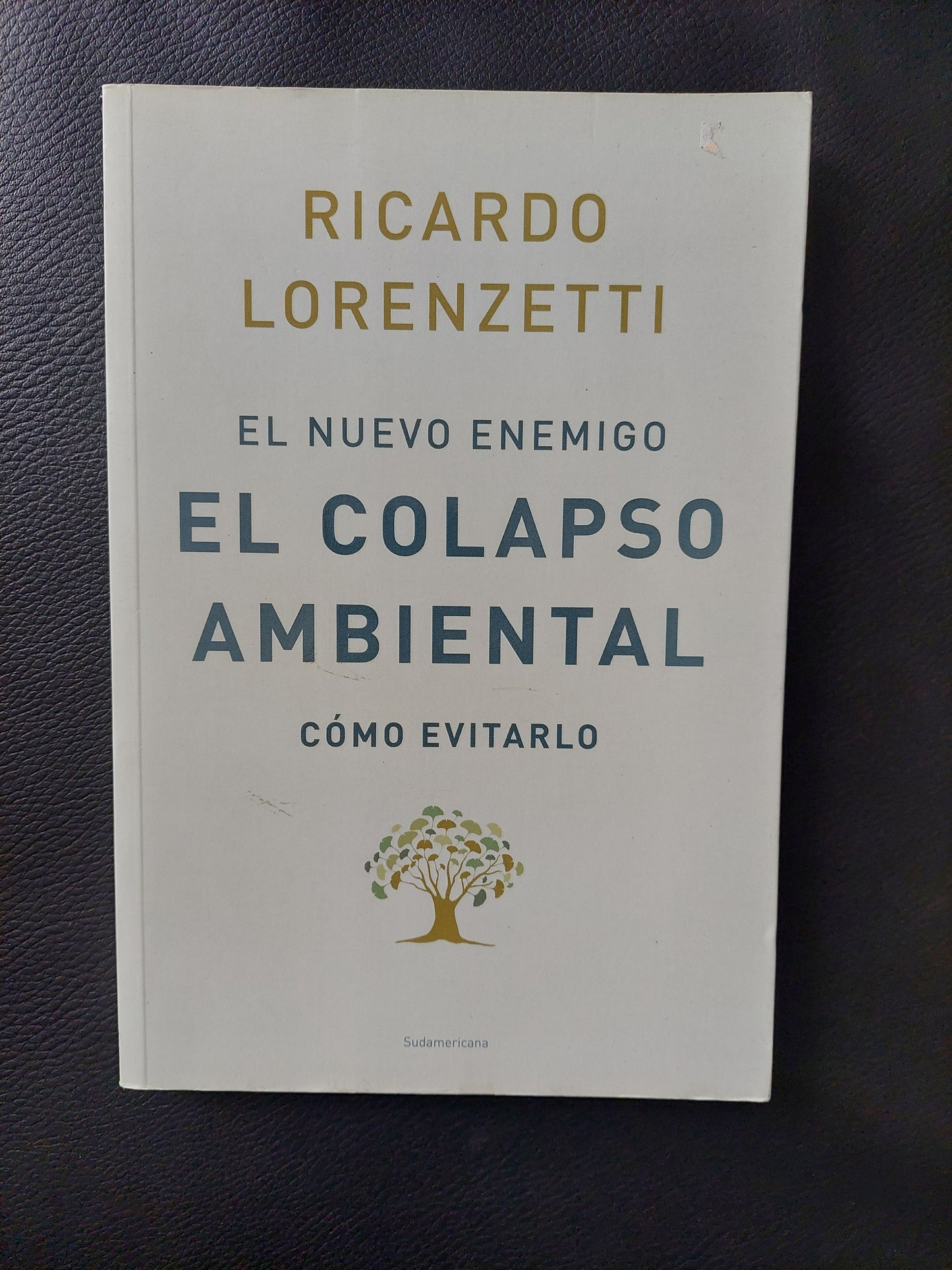 El nuevo enemigo, el colapso ambiental - Ricardo Lorenzetti