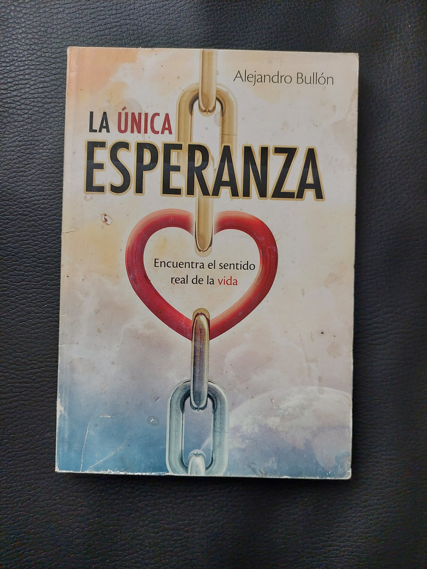 La única esperanza - Alejandro Bullón