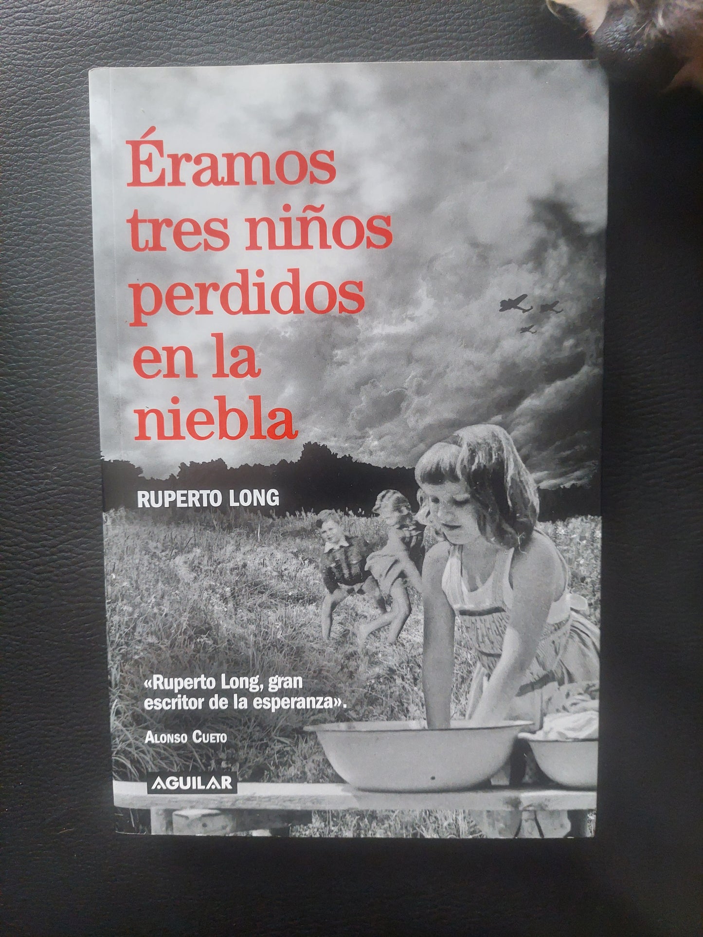 Éramos tres niños perdidos en la niebla - Ruperto Long