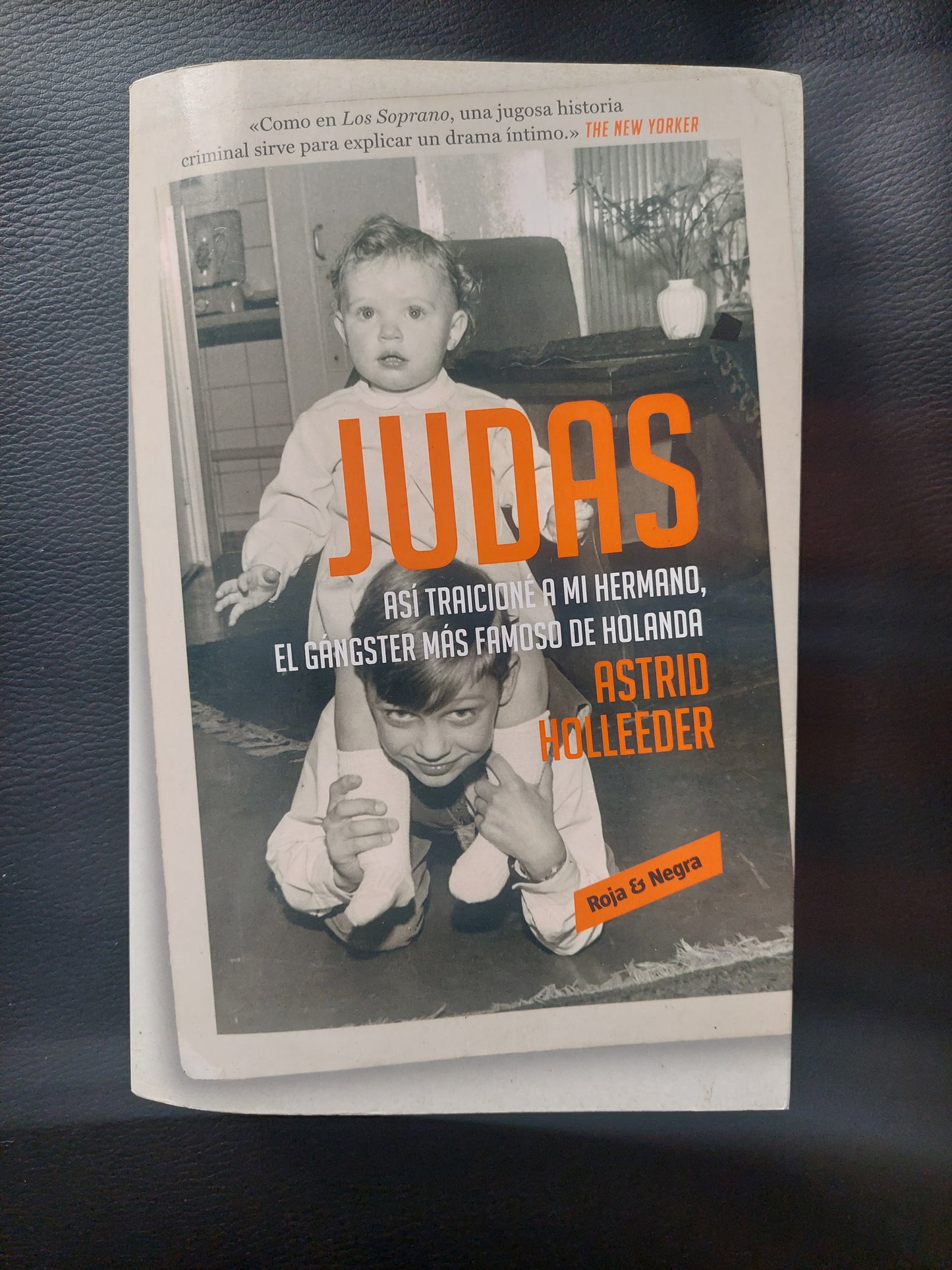 Judas. Así traicioné a mi hermano, el gangster más famoso de Holanda - Astrid Holleeder