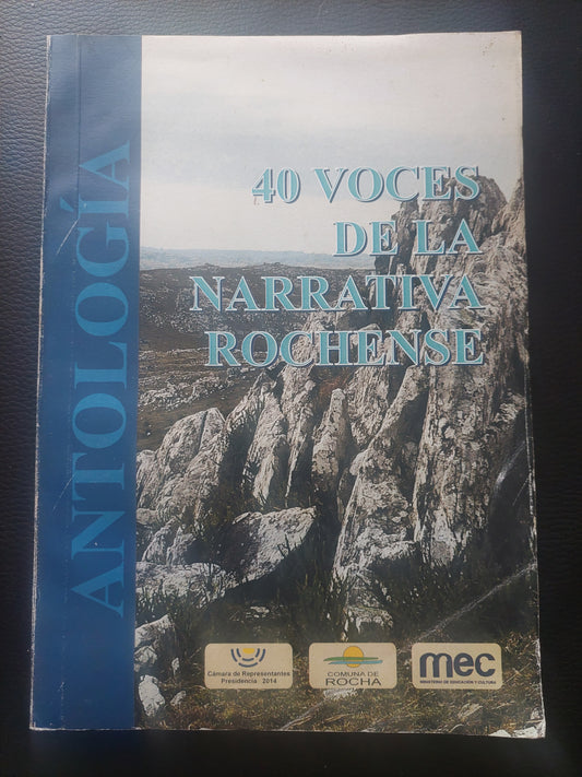 40 voces de la narrativa rochense