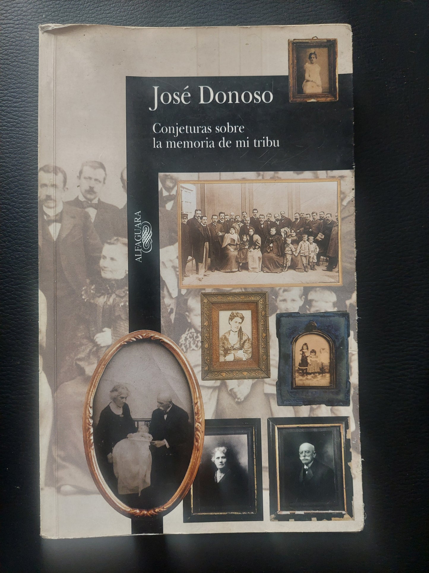 Conjeturas sobre la memoria de mi tribu - José Donoso