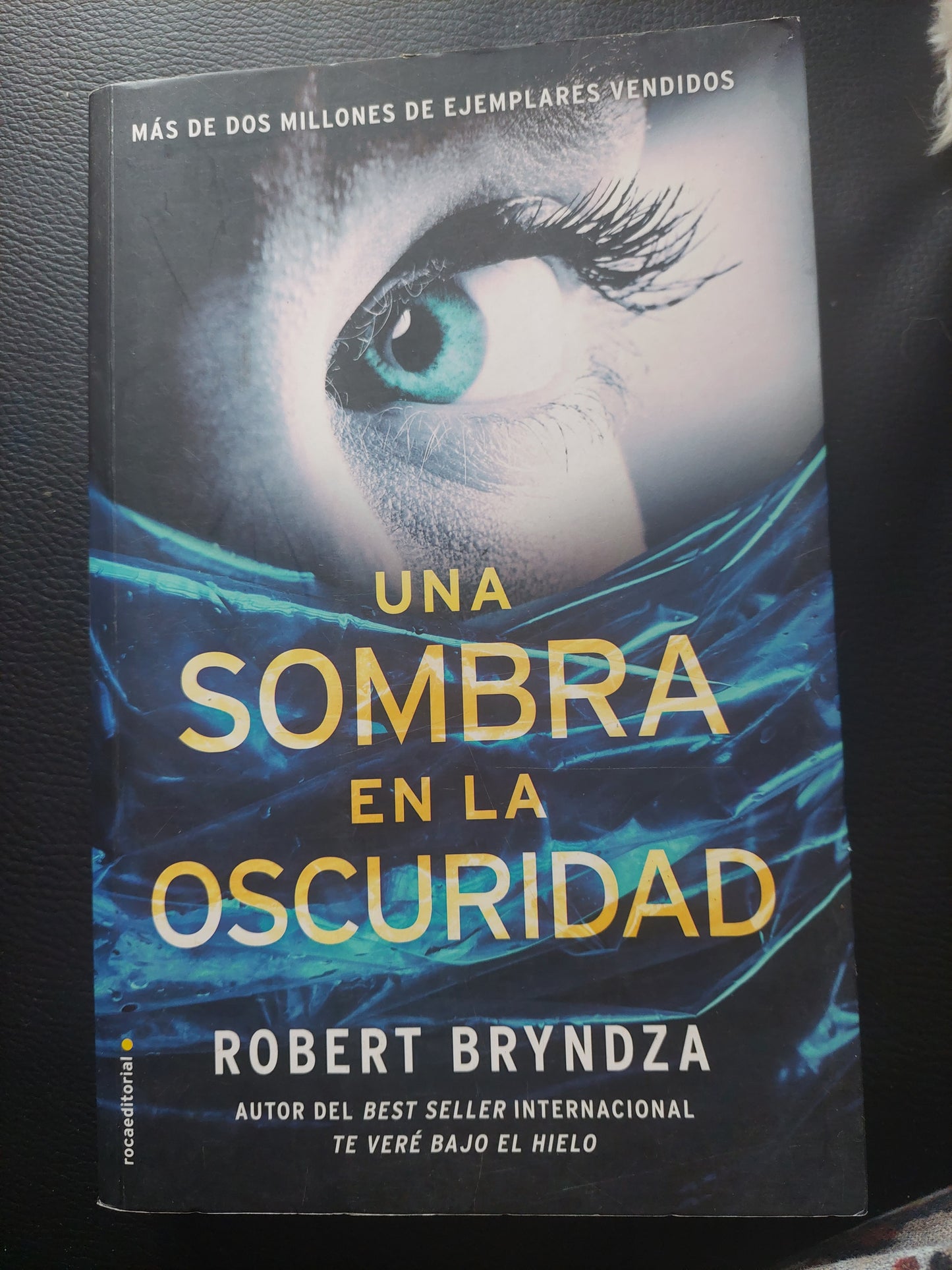 Una sombra en la oscuridad - Robert Bryndza