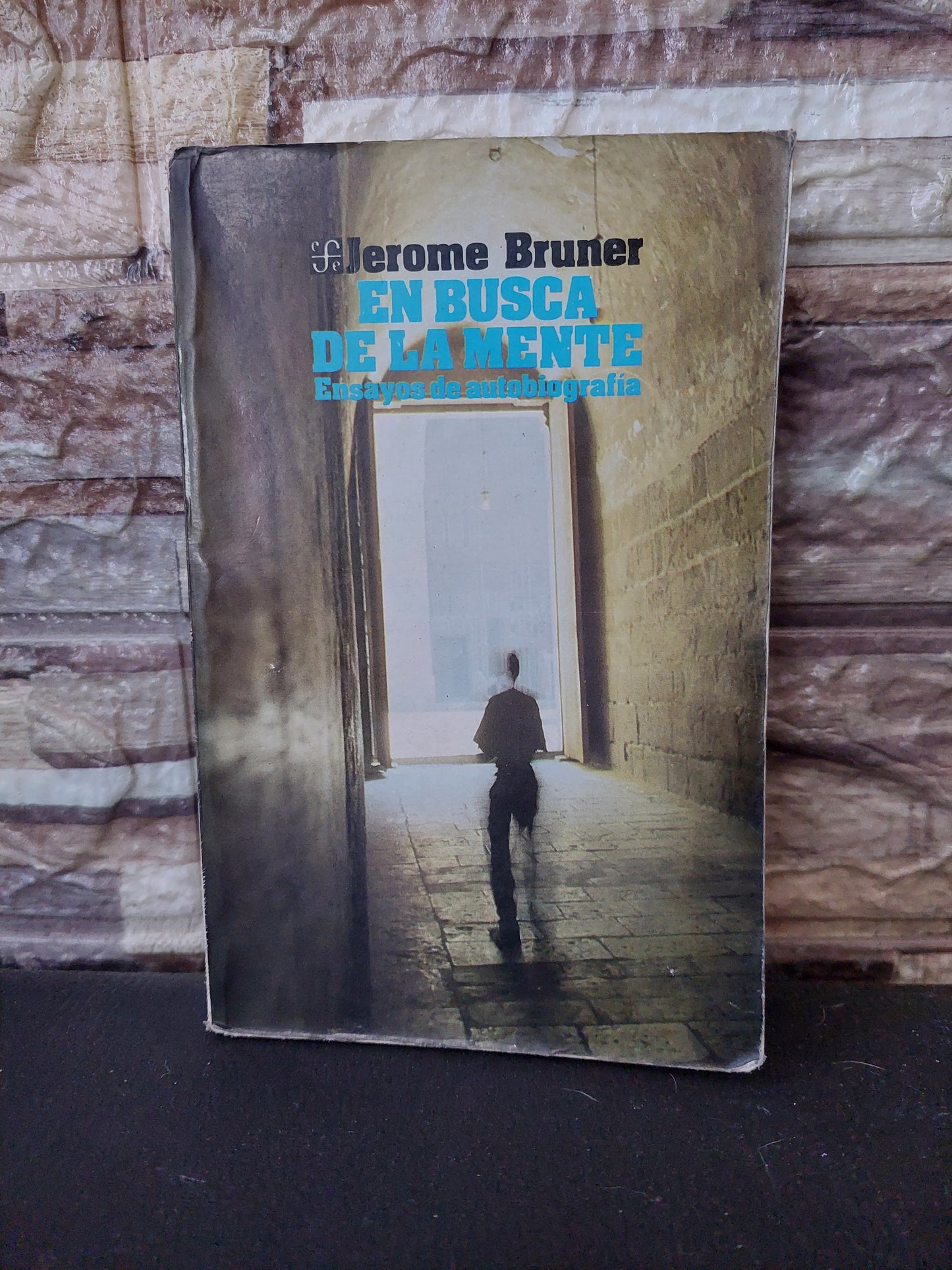 En busca de la mente - Jerome Bruner