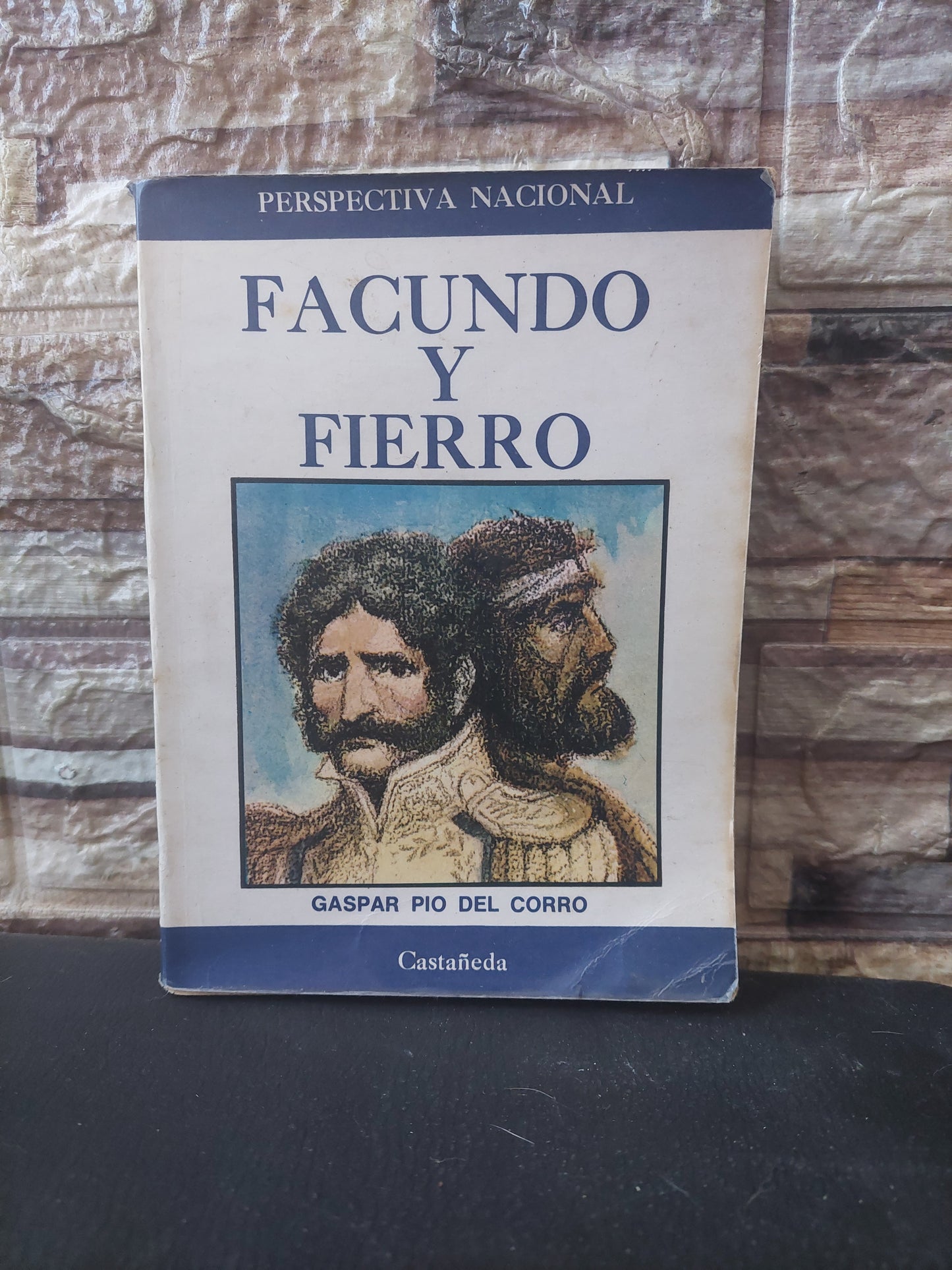 Facundo y Fierro - Gaspar Pio del Corro