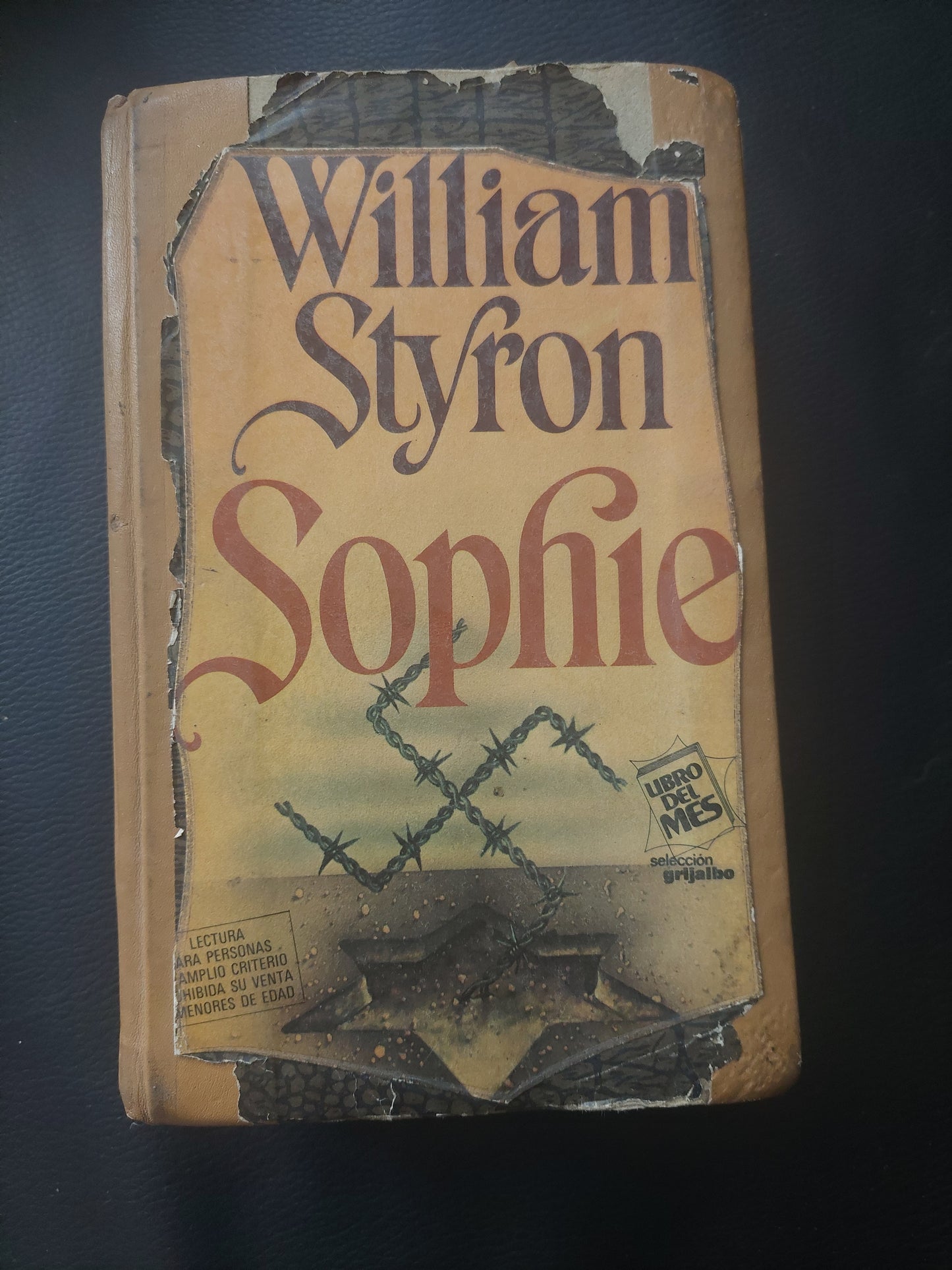 Sophie - William Styron