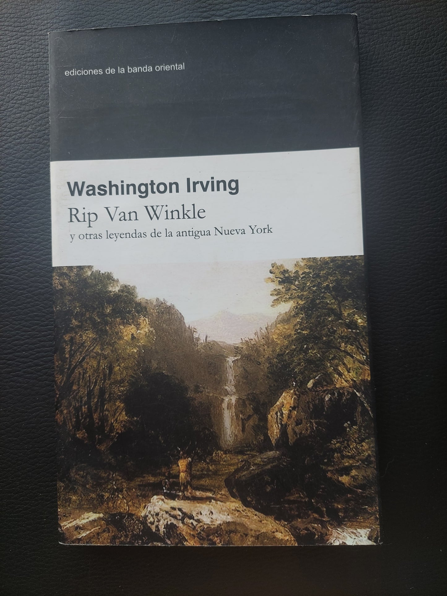 Rip Van Winkle y otras leyendas de la antigua Nueva York - Washington Irving