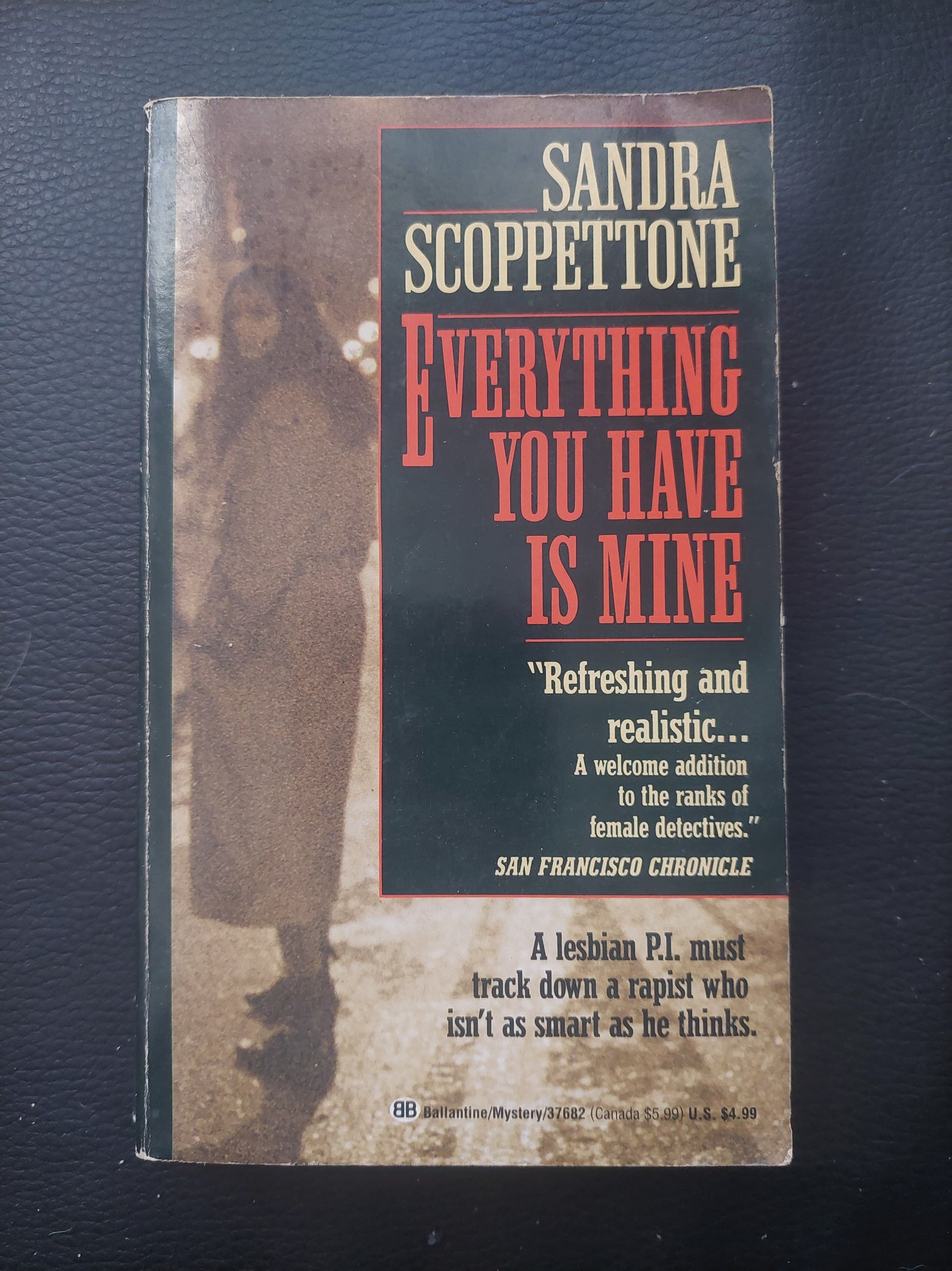 Everything you have is mine - Sandra Scoppettone