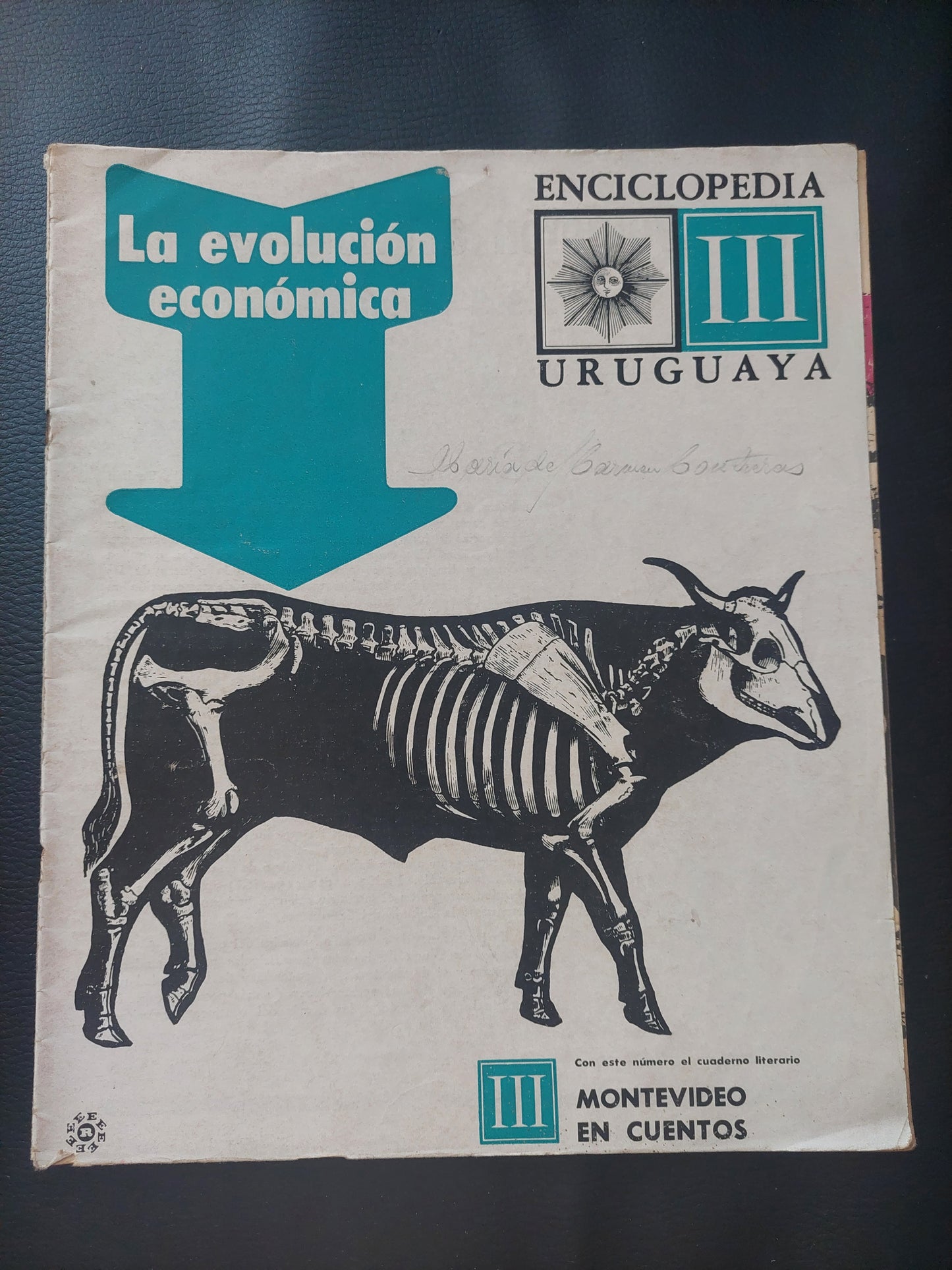 Enciclopedia uruguaya 3