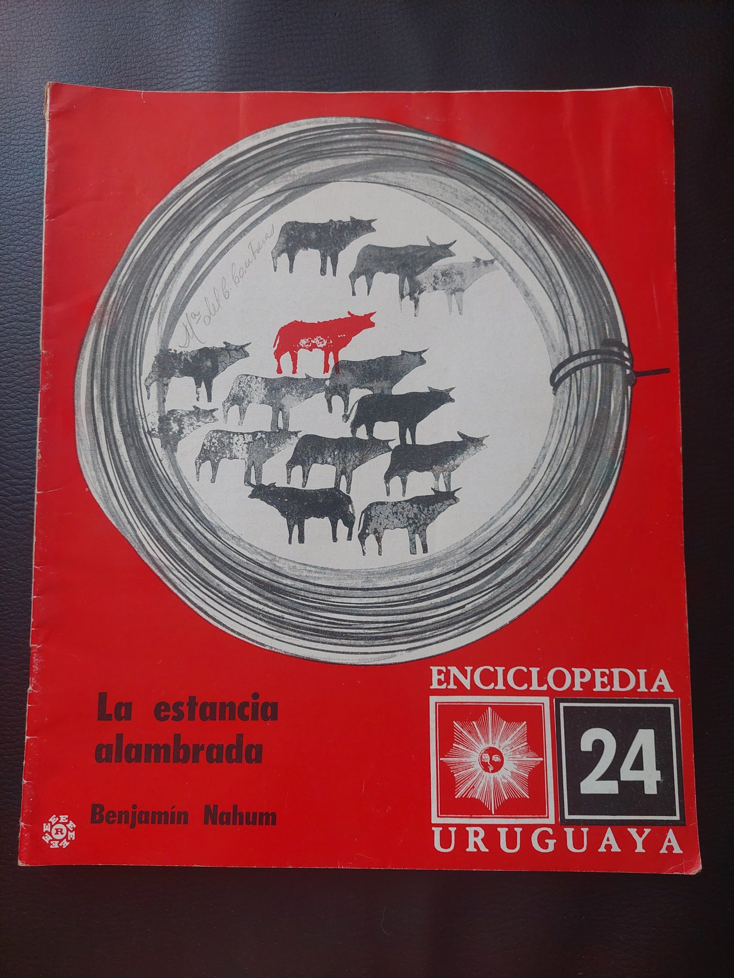 Enciclopedia uruguaya 24