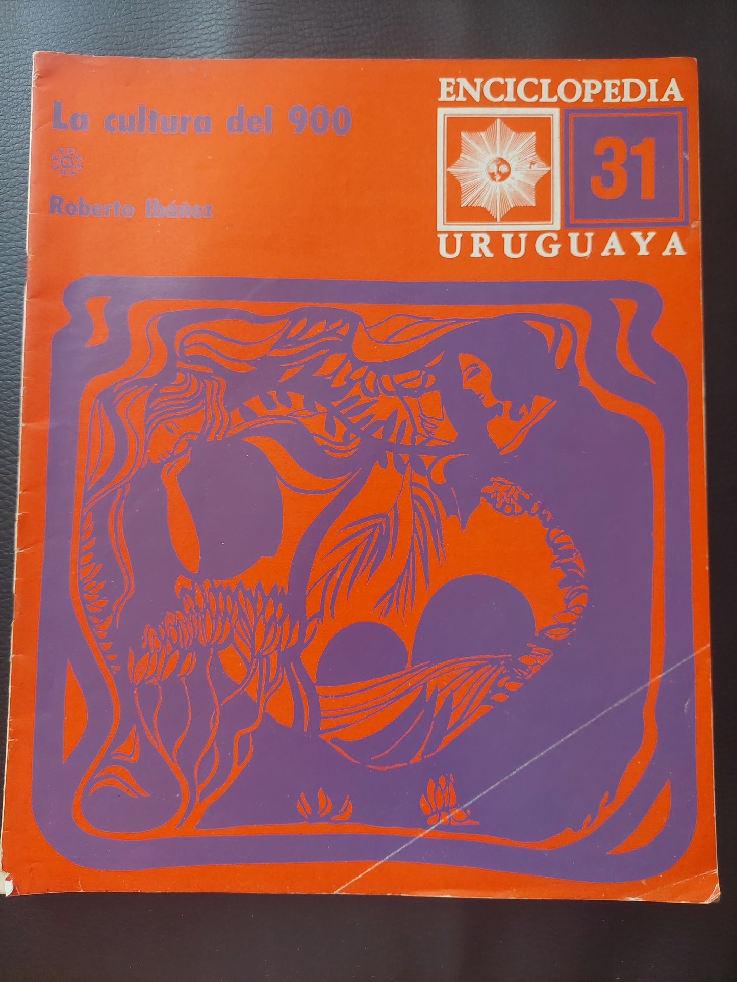 Enciclopedia uruguaya 31