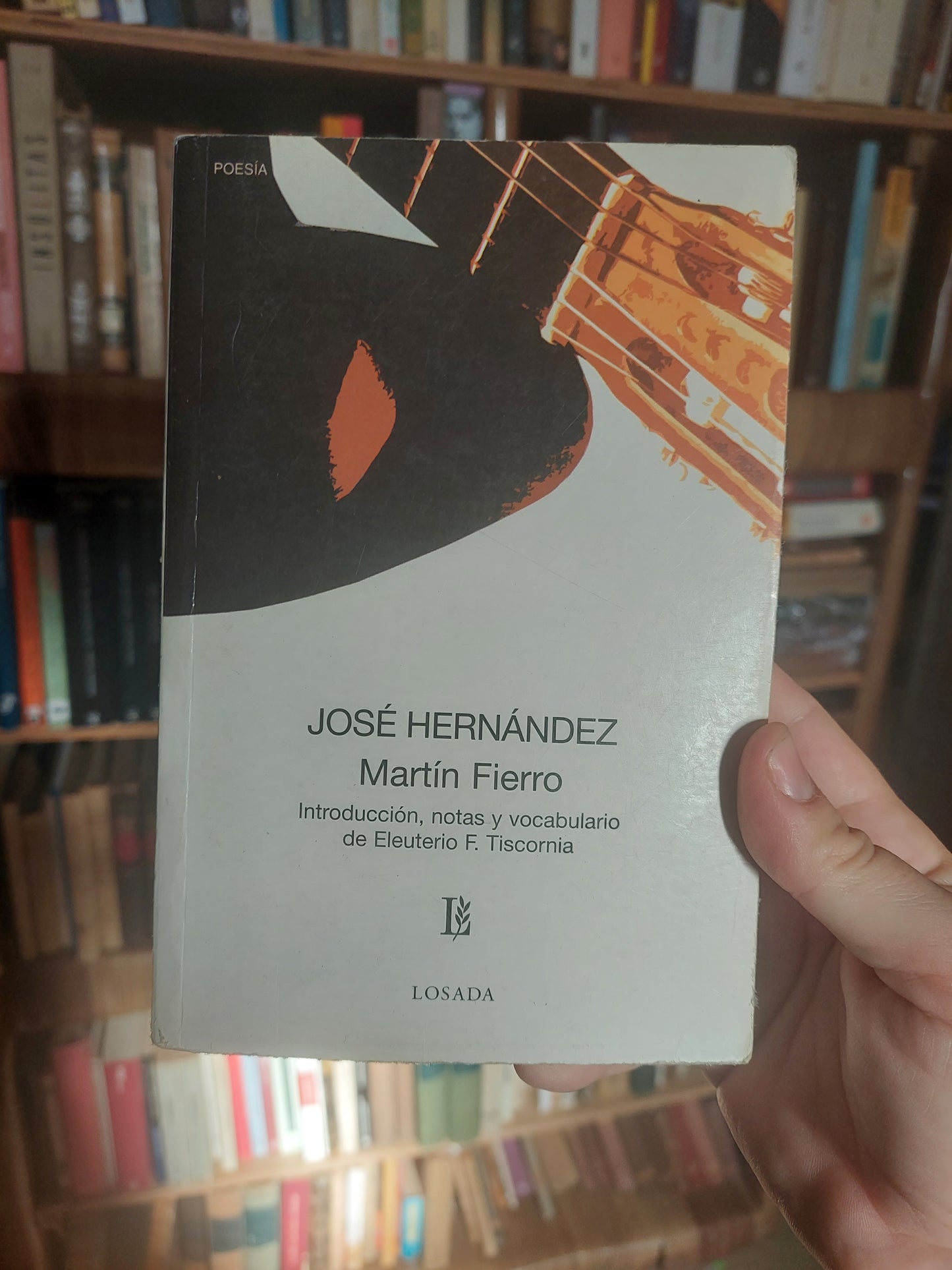 Martin Fierro - José Hernández