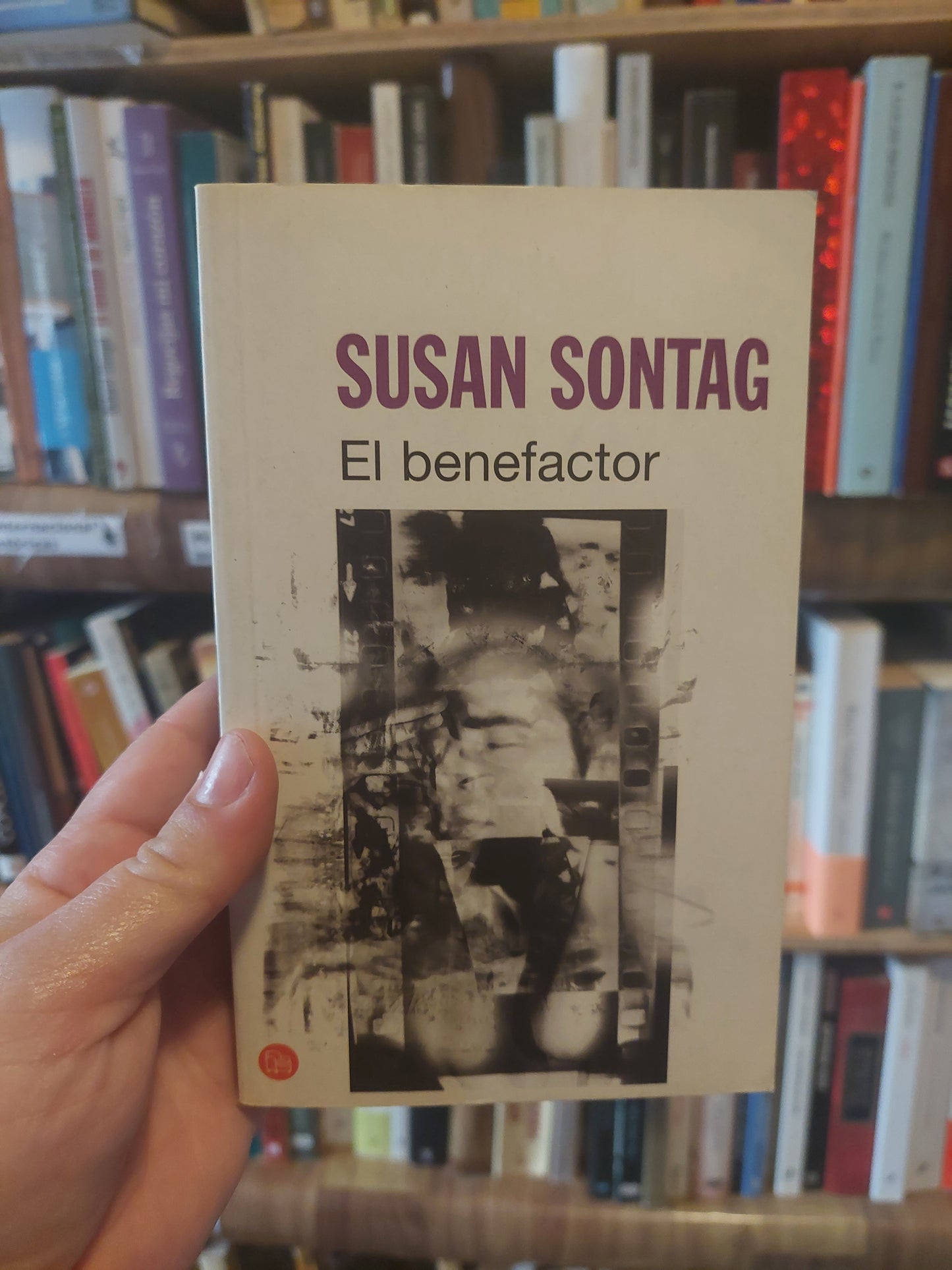 El benefactor - Susan Sontag