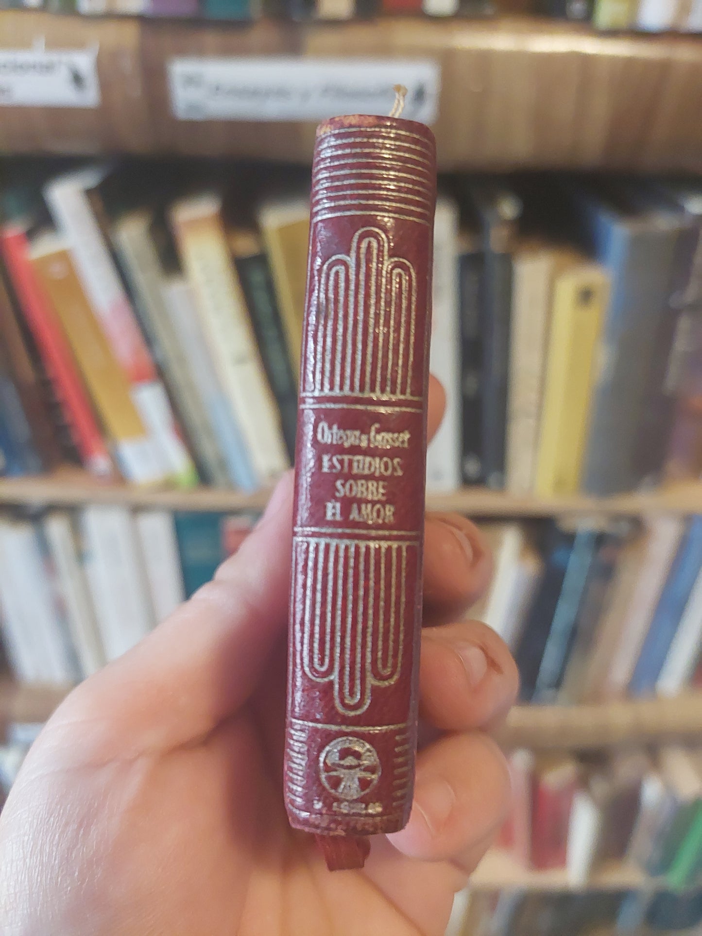 Estudios sobre el amor - Ortega y Gasset