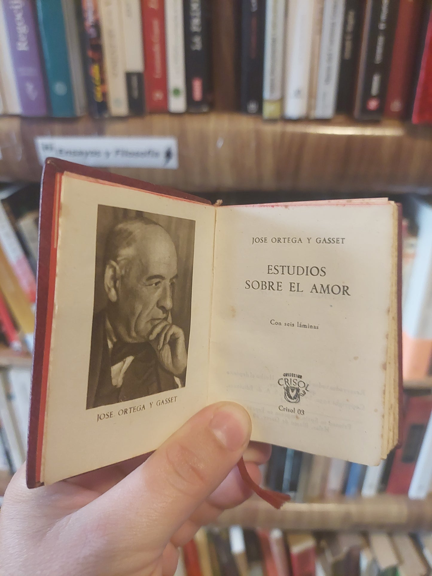 Estudios sobre el amor - Ortega y Gasset