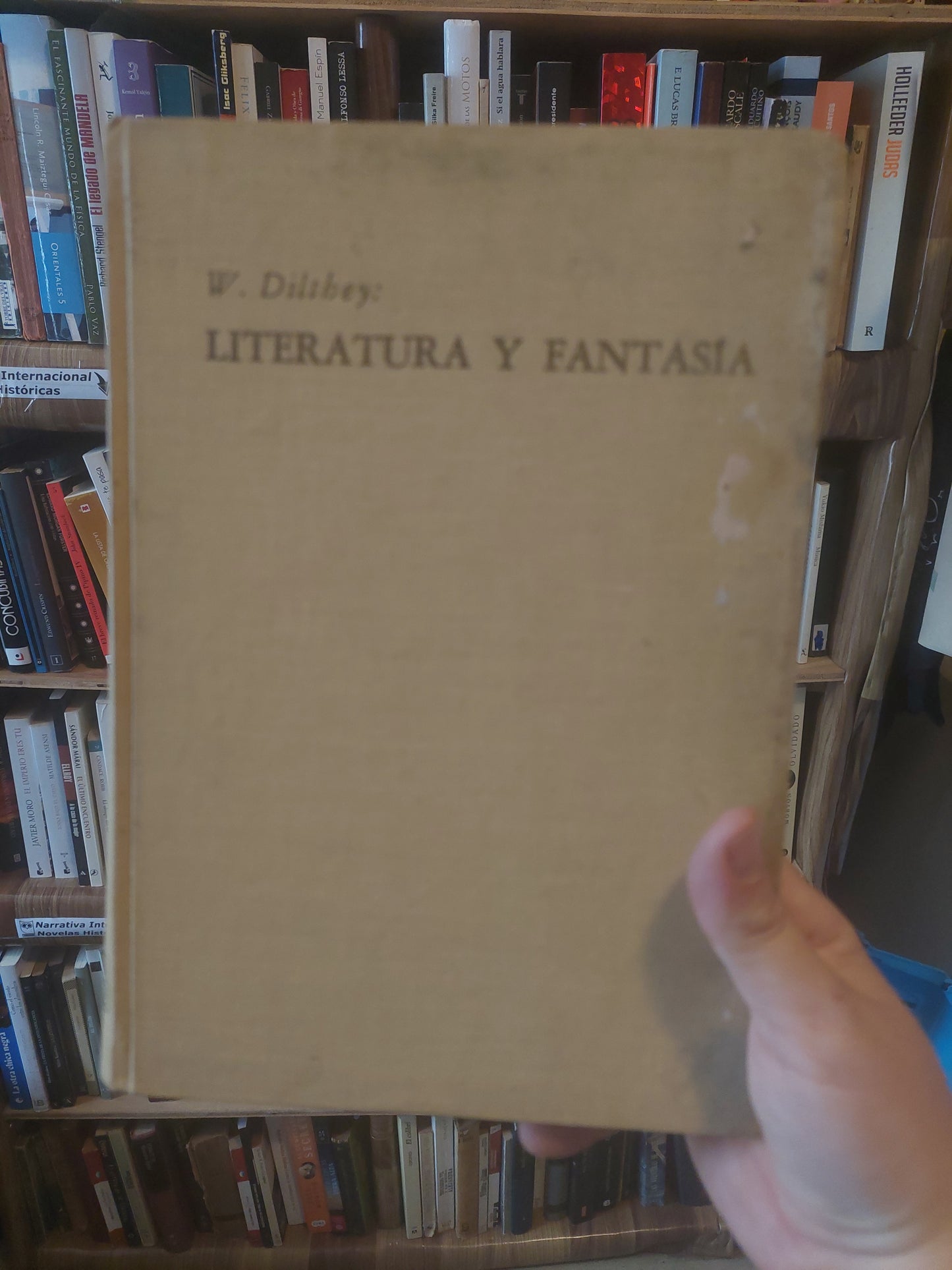 Literatura y fantasía - W. Dilthey