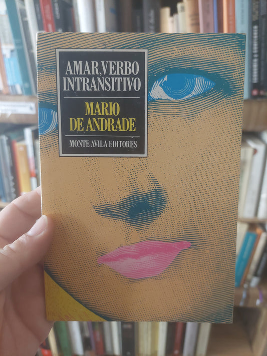 Amar, verbo intransitivo - Mario de Andrade