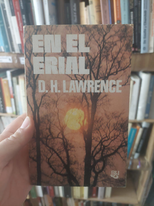 En el erial - D. H. Lawrence