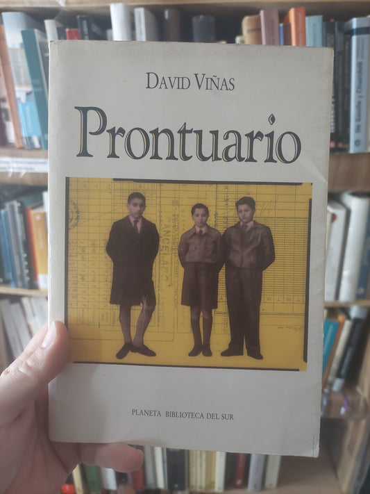 Prontuario - David Viñas