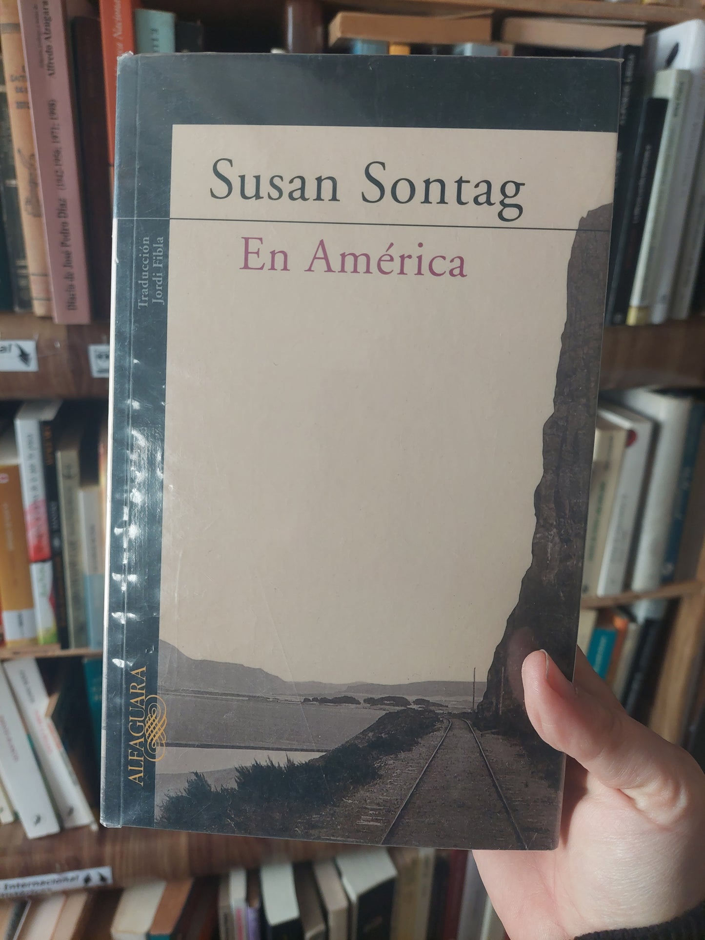 En América - Susan Sontag