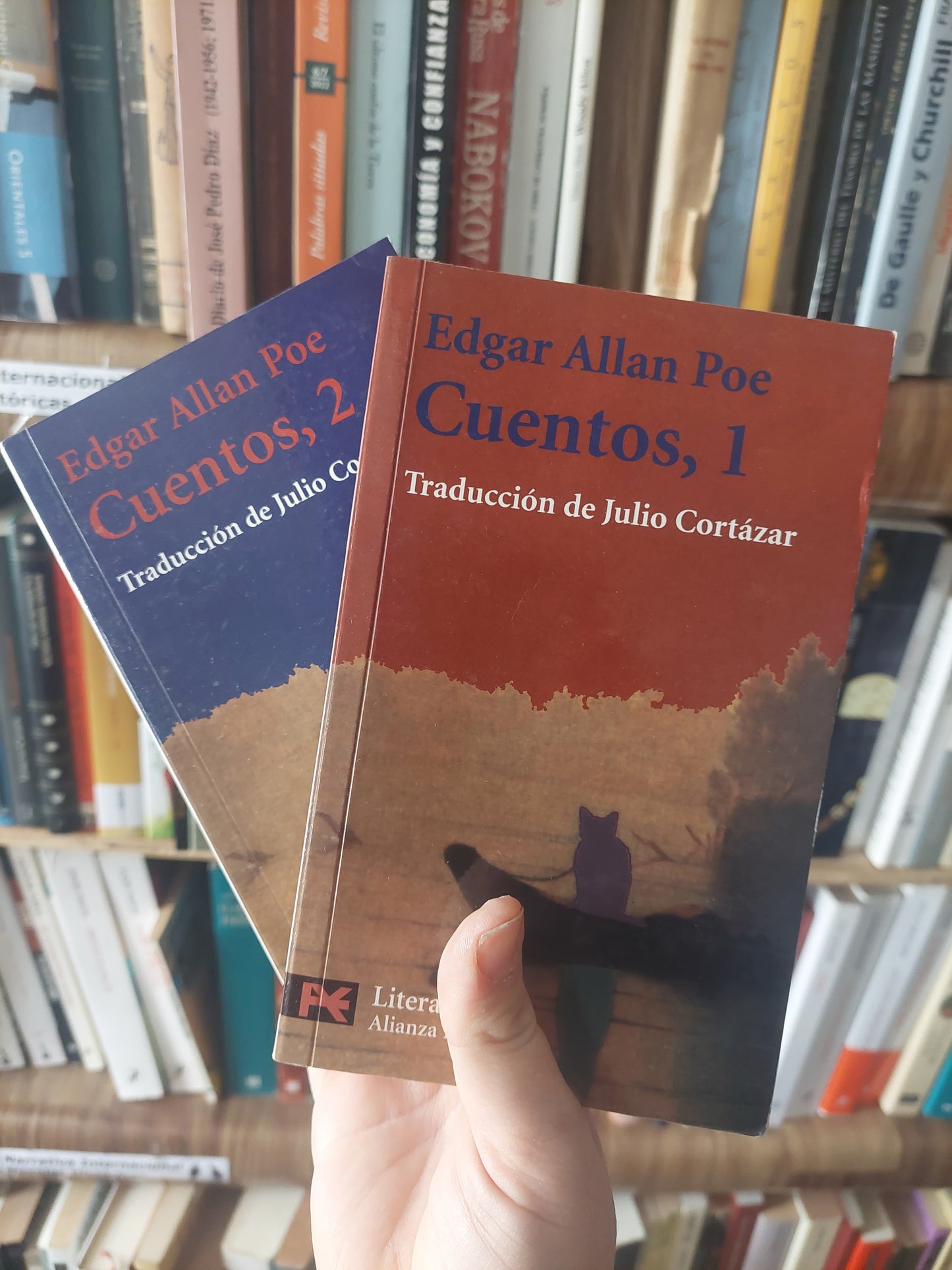 Cuentos Edgar Allan Poe