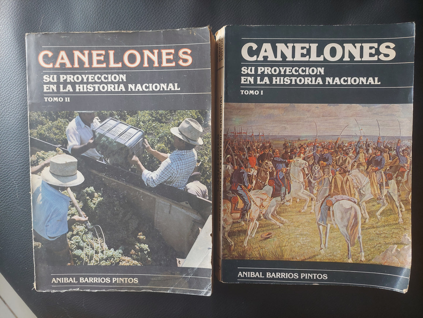 Canelones. Su proyección en la historia nacional.