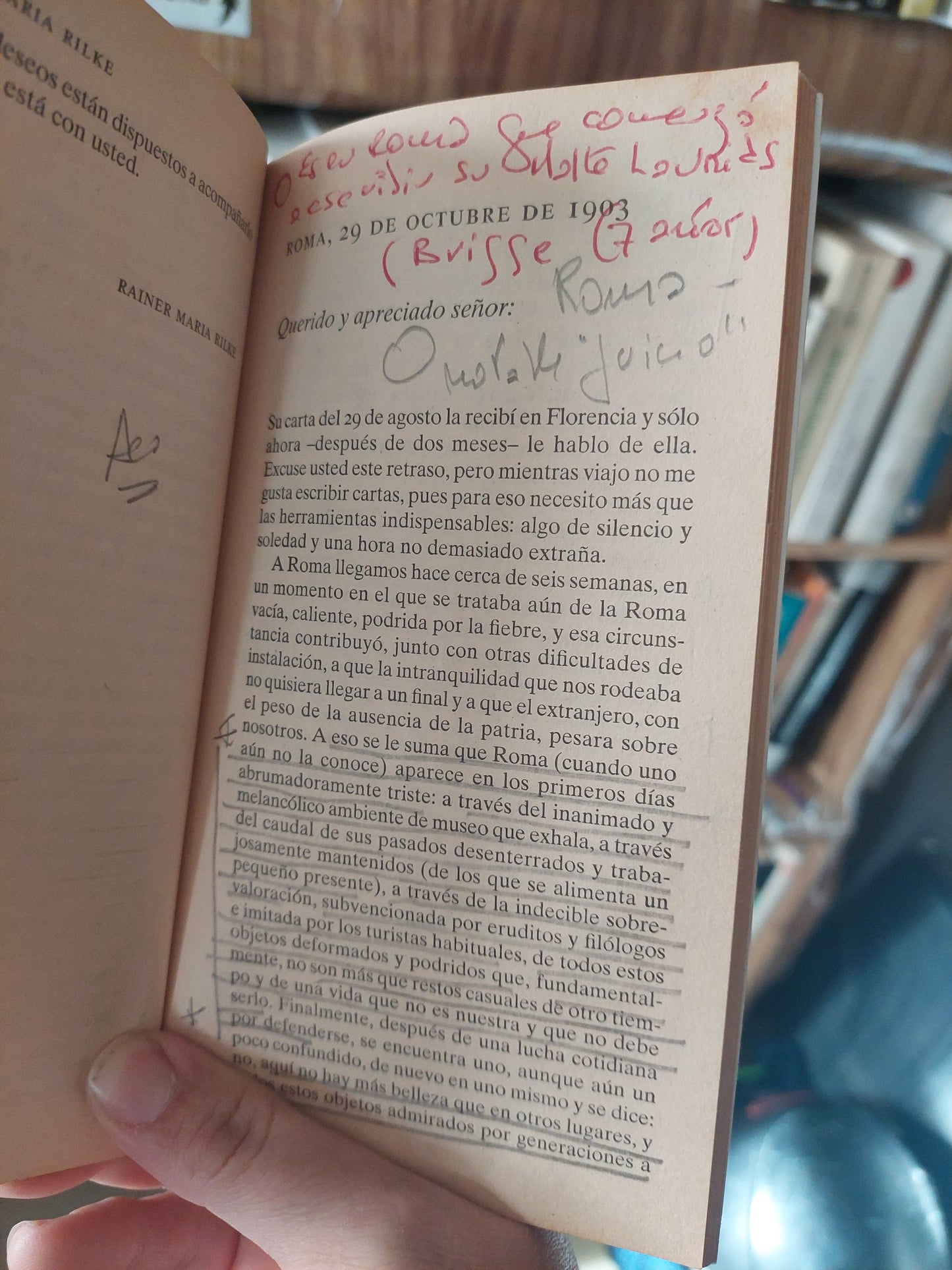 Cartas a un joven poeta - Rainer Maria Rilke (subrayado y anotado)