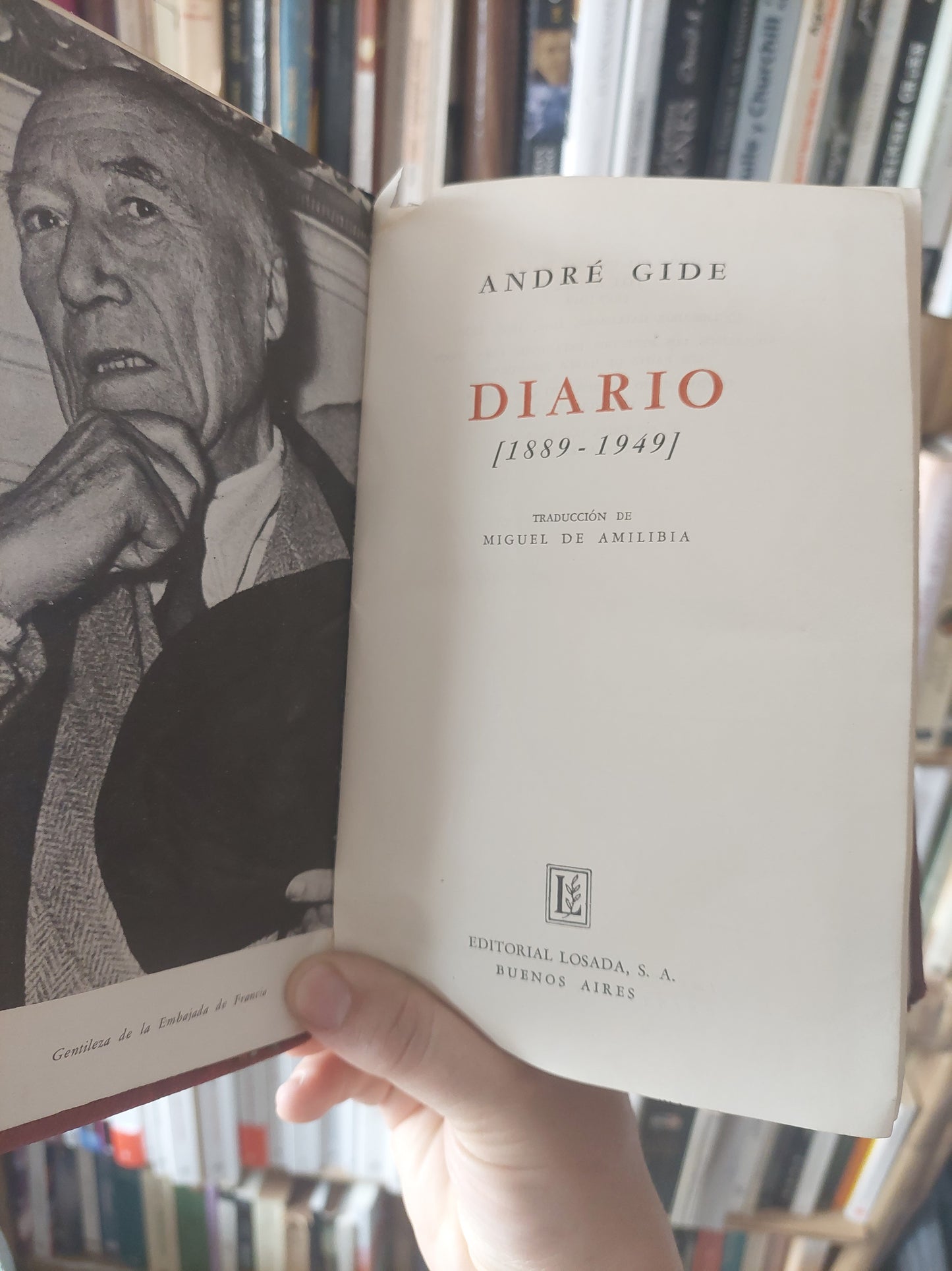 Diario (1889-1949) - André Gide