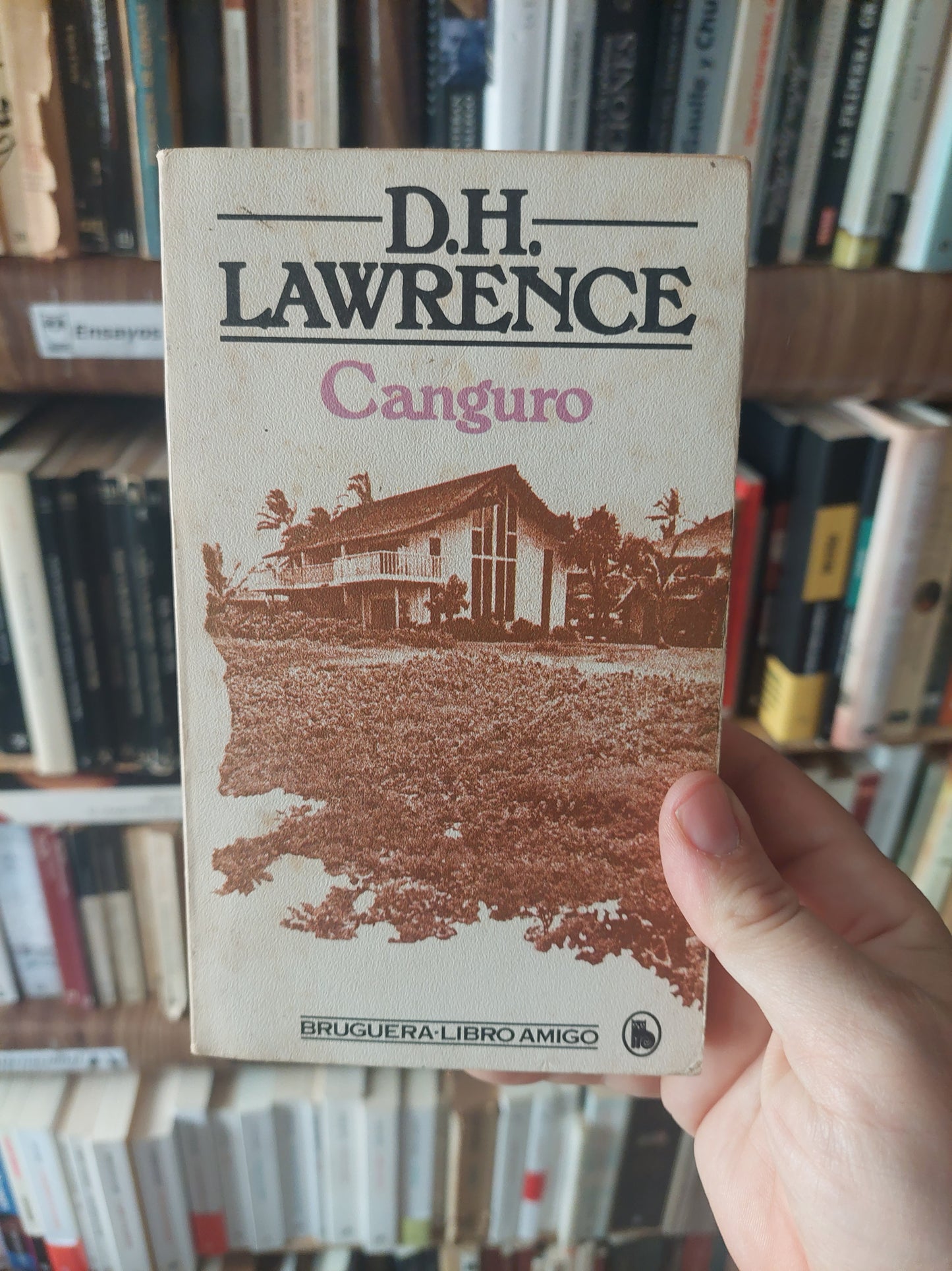 Canguro - D. H. Lawrence