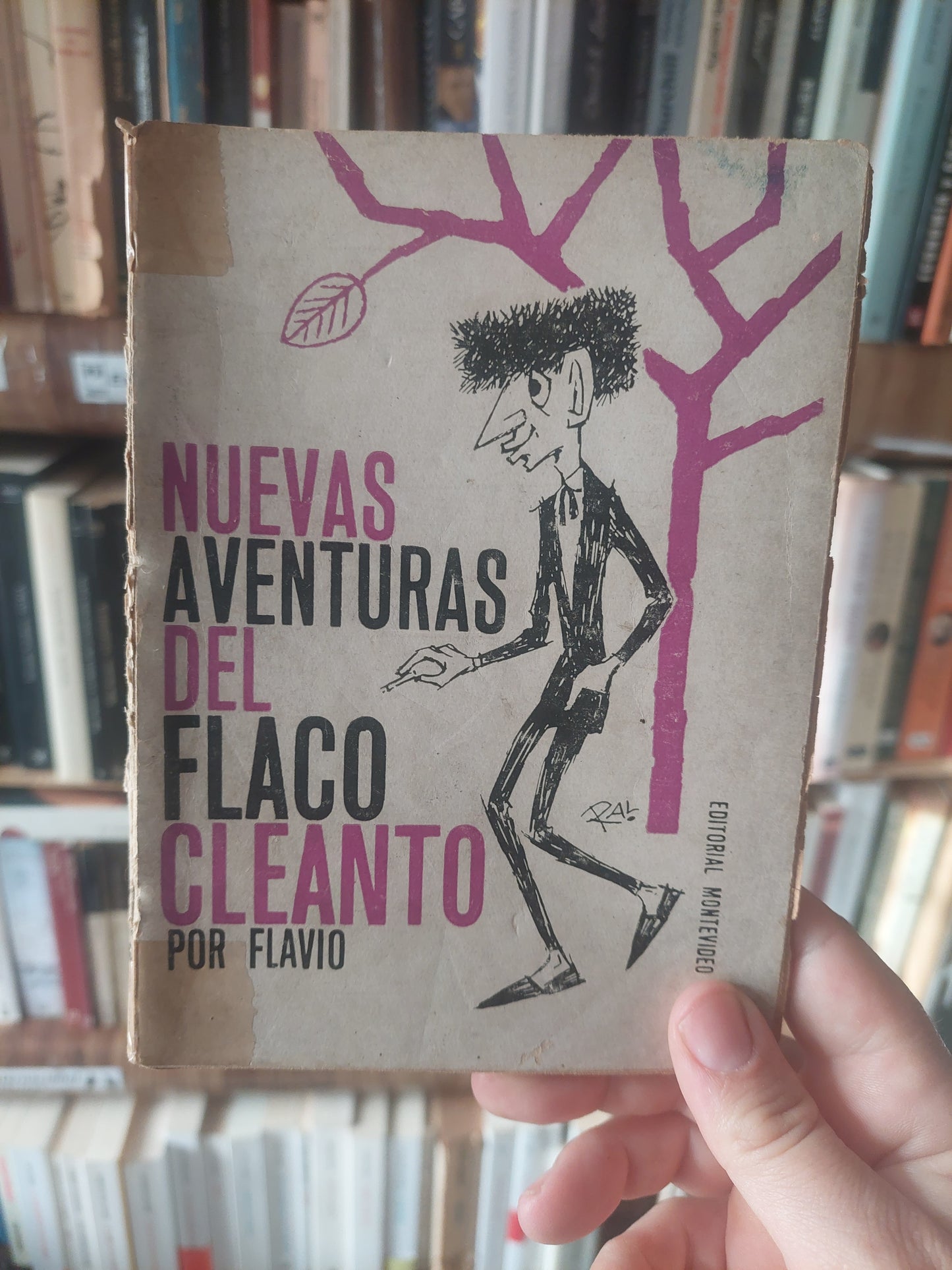 Nuevas aventuras del flaco Cleanto - Flavio