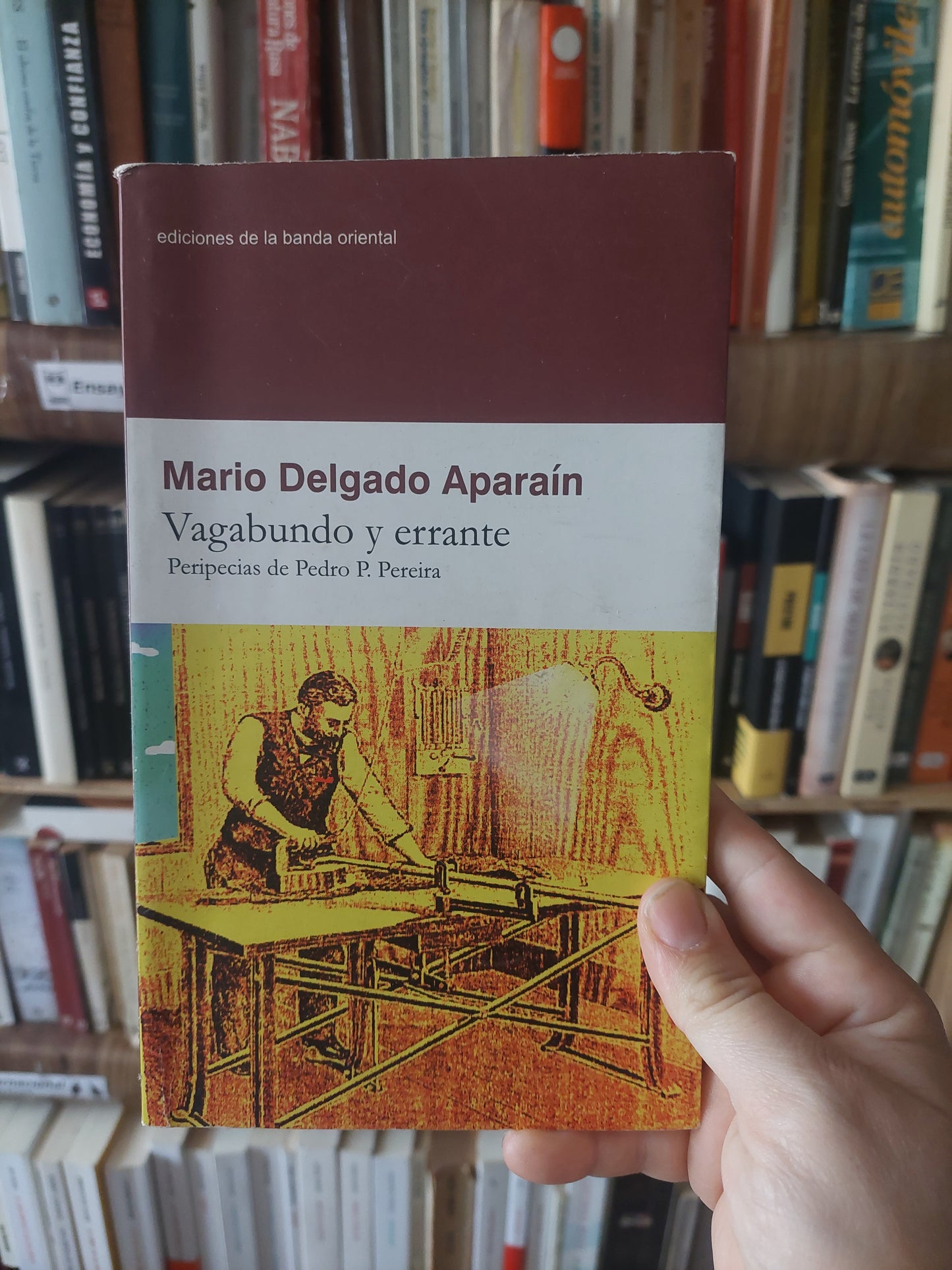 Vagabundo y errante - Mario Delgado Aparaín