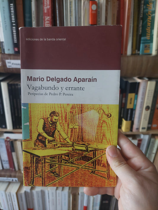 Vagabundo y errante - Mario Delgado Aparaín