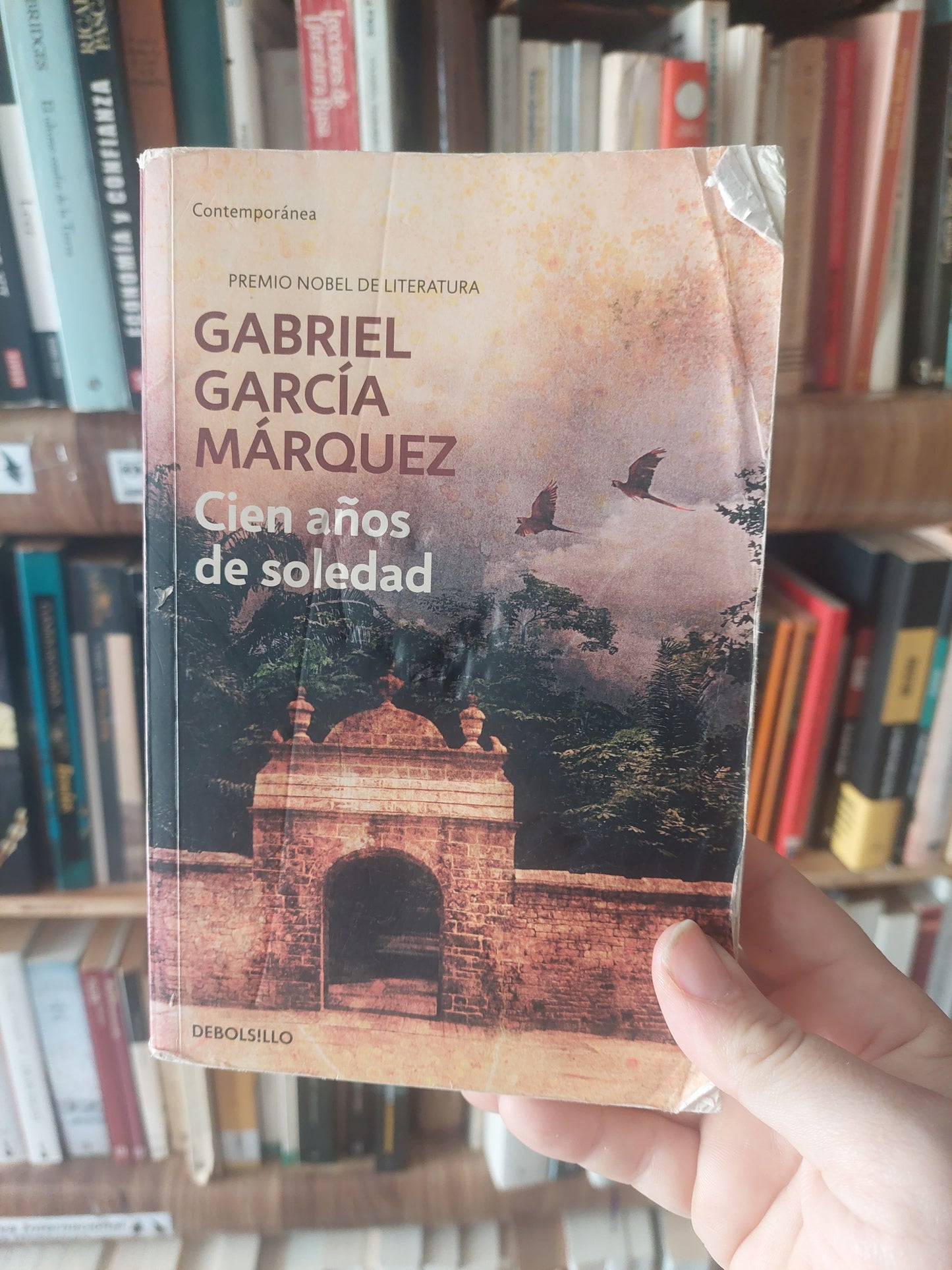 Cien años de soledad - Gabriel Garcia Márquez