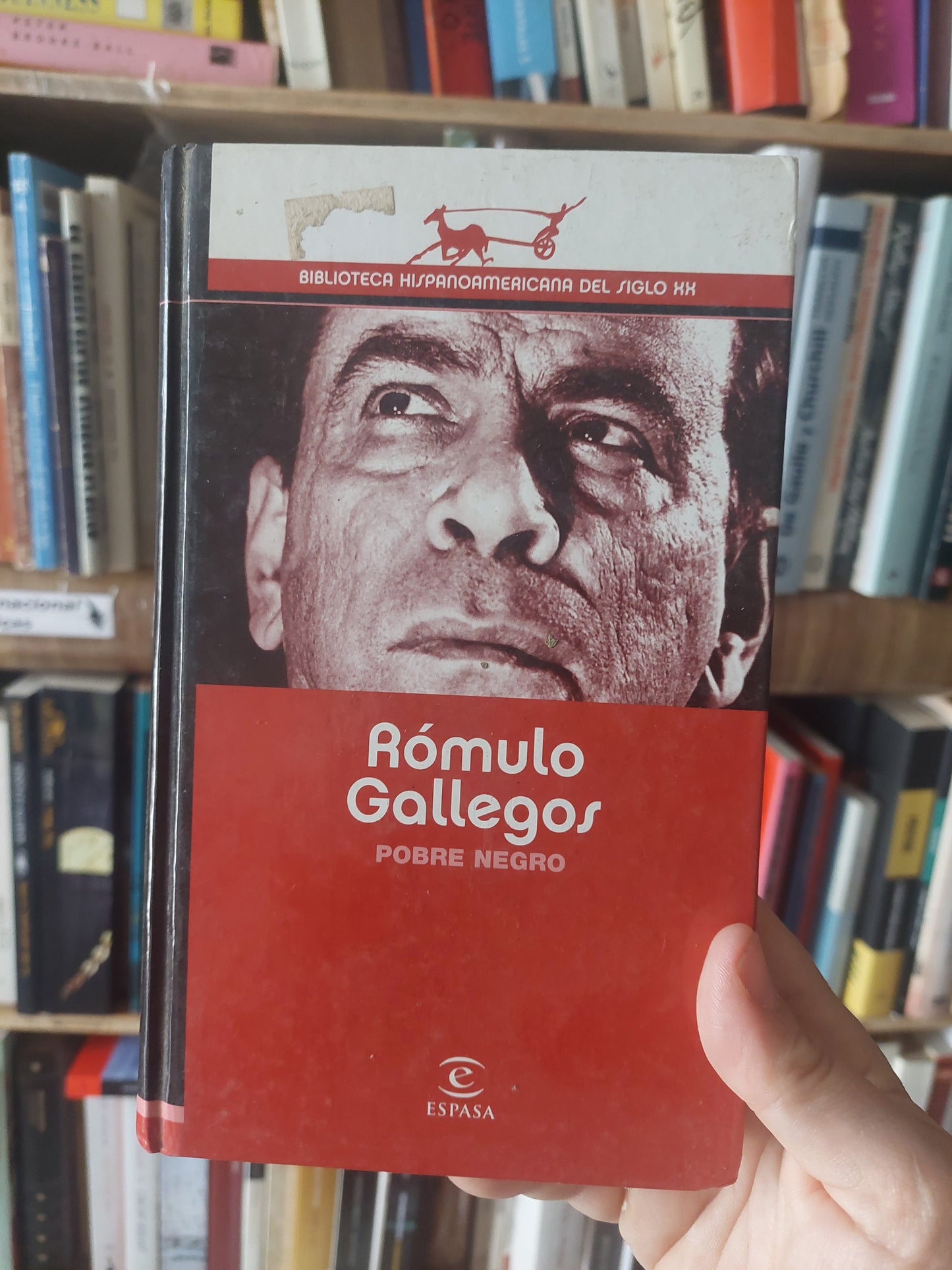 Pobre negro - Rómulo Gallegos