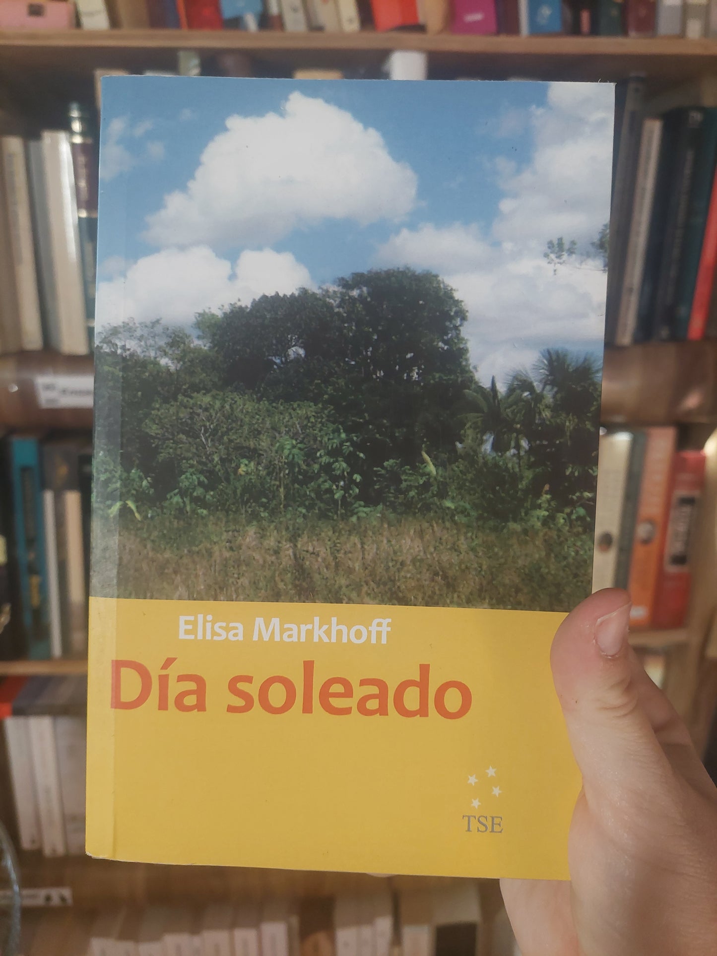 Día soleado - Elisa Markhoff