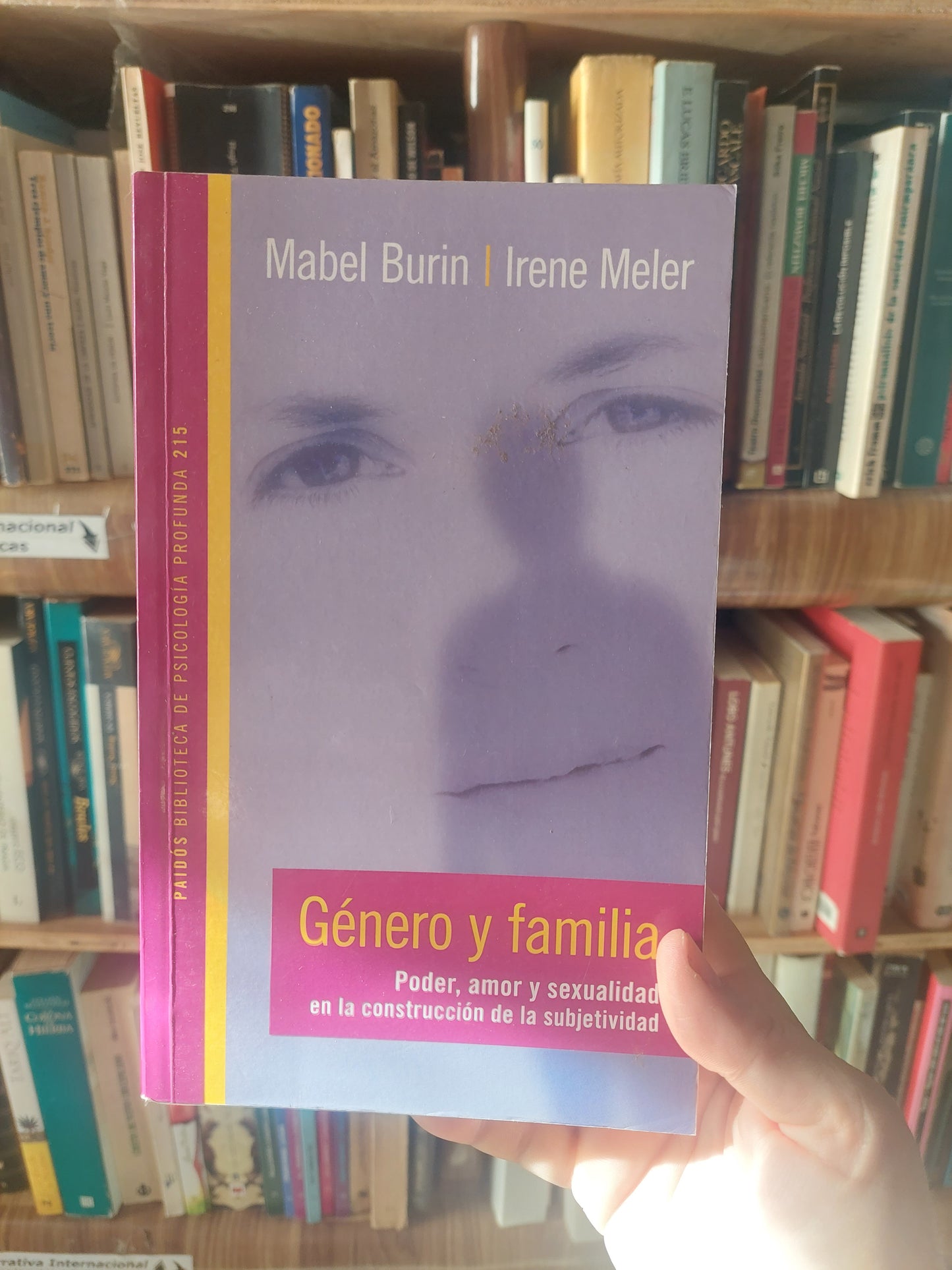 Género y familia. Poder, amor y sexualidad en la construcción de la subjetividad - Burin y Meler (como nuevo)