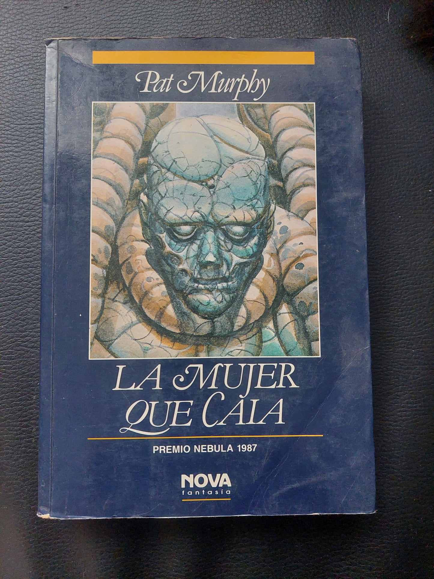 La mujer que caía - Pat Murphy