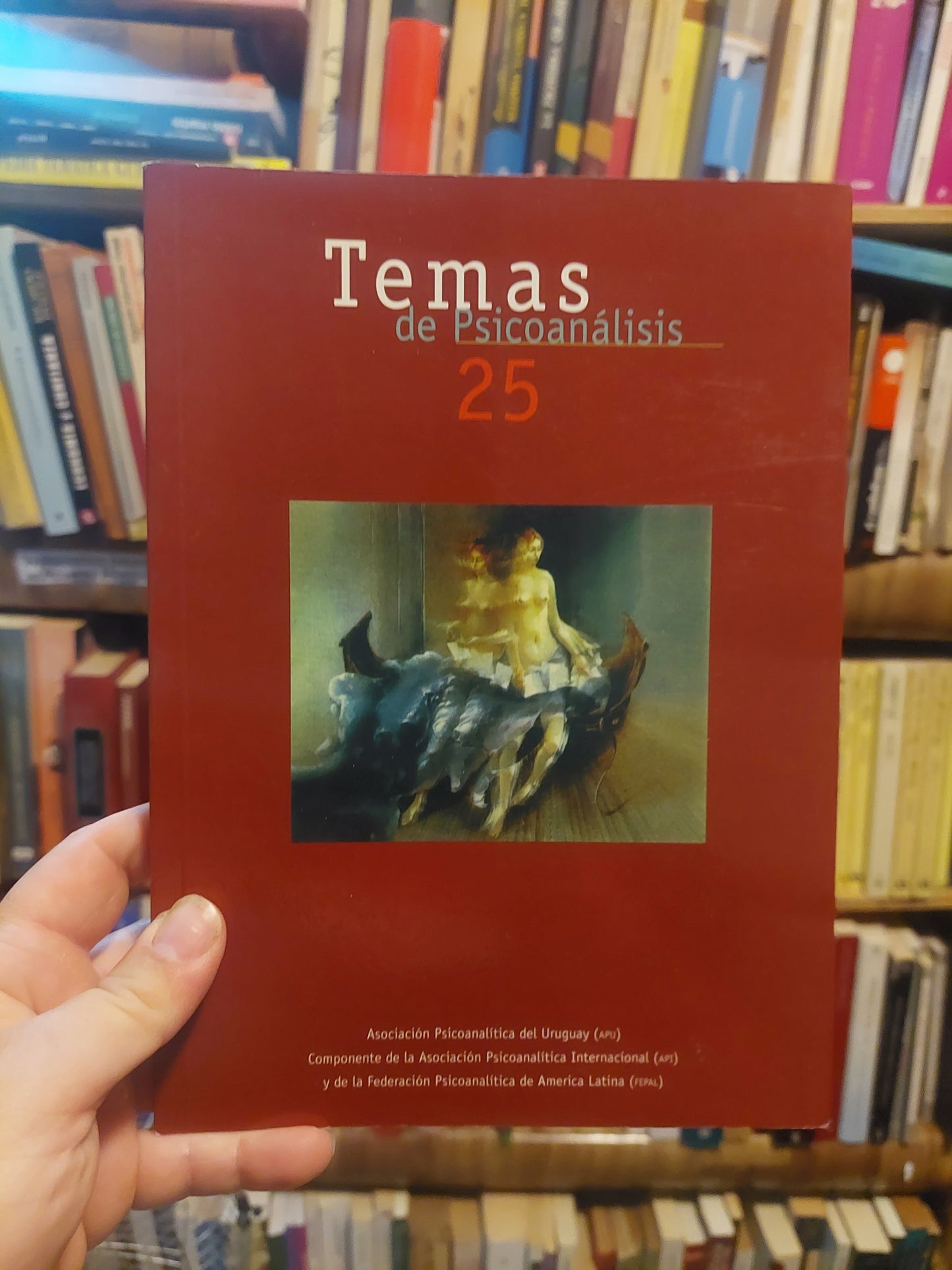 Temas de psicoanálisis 25