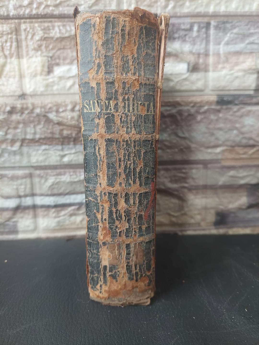 SANTA BIBLIA REVISADA Y CORREGIDA
IMPRESA POR LA SOCIEDAD BÍBLICA AMERICANA. 1870