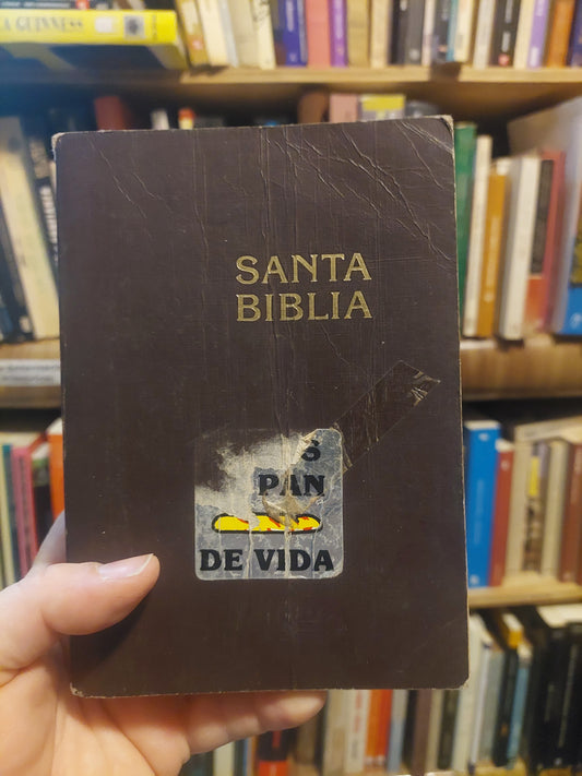 Santa biblia