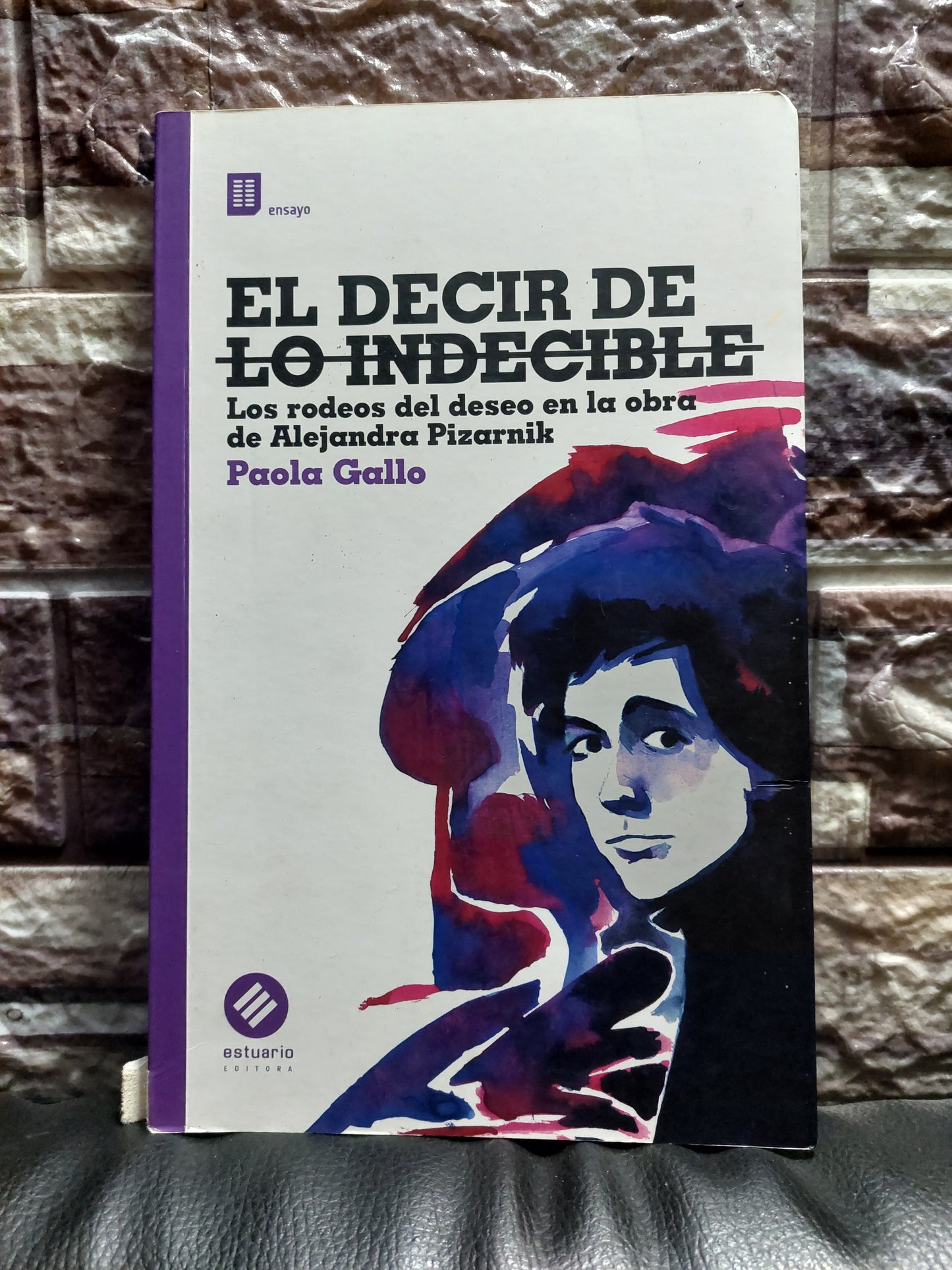 El decir de lo indecible. Los rodeos del deseo en la obra de Alejandra Pizarnik - Paula Gallo (subrayado con flúor)