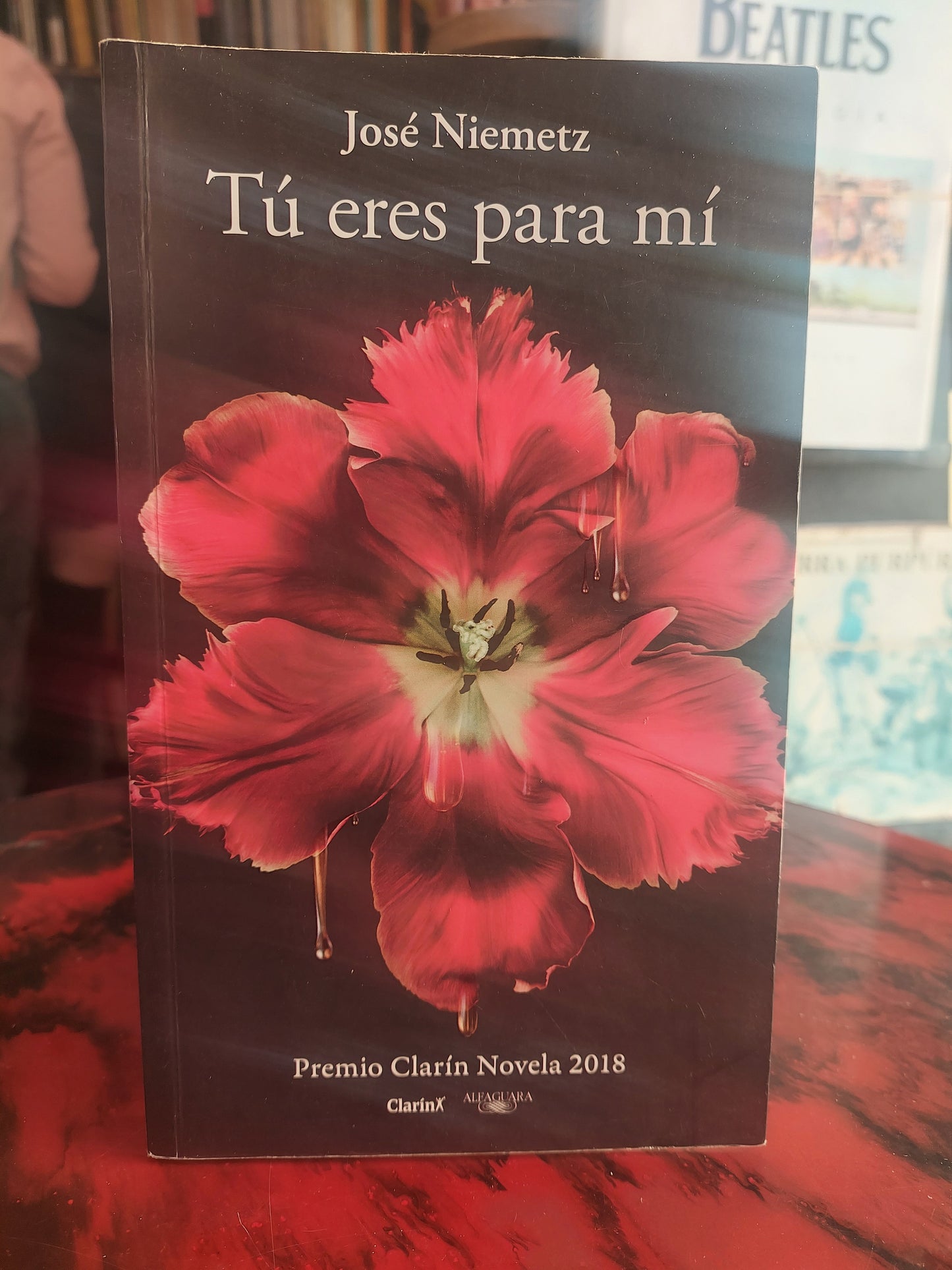 Tú eres para mi - José Niemetz