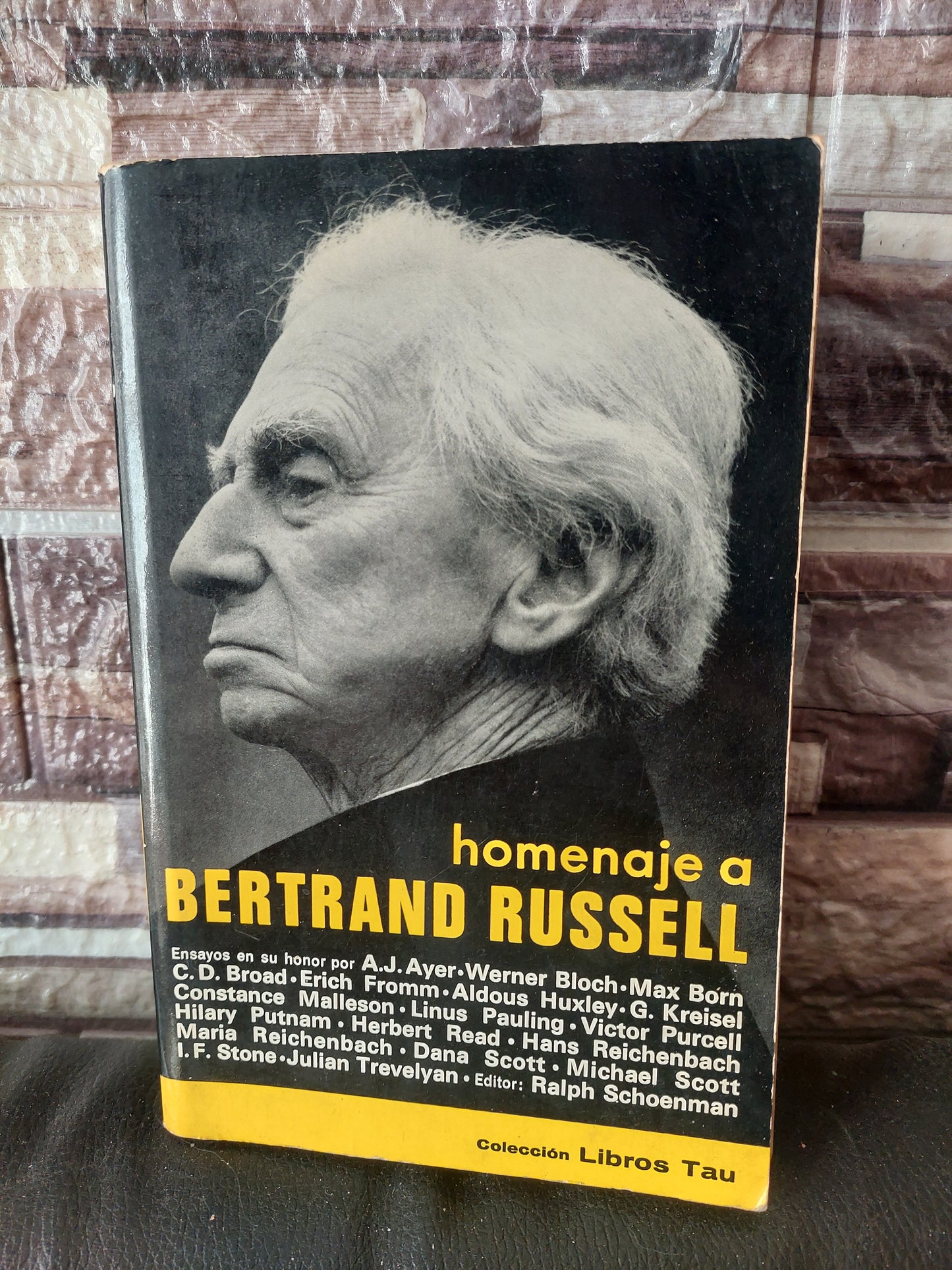 Homenaje a Bertrand Russell