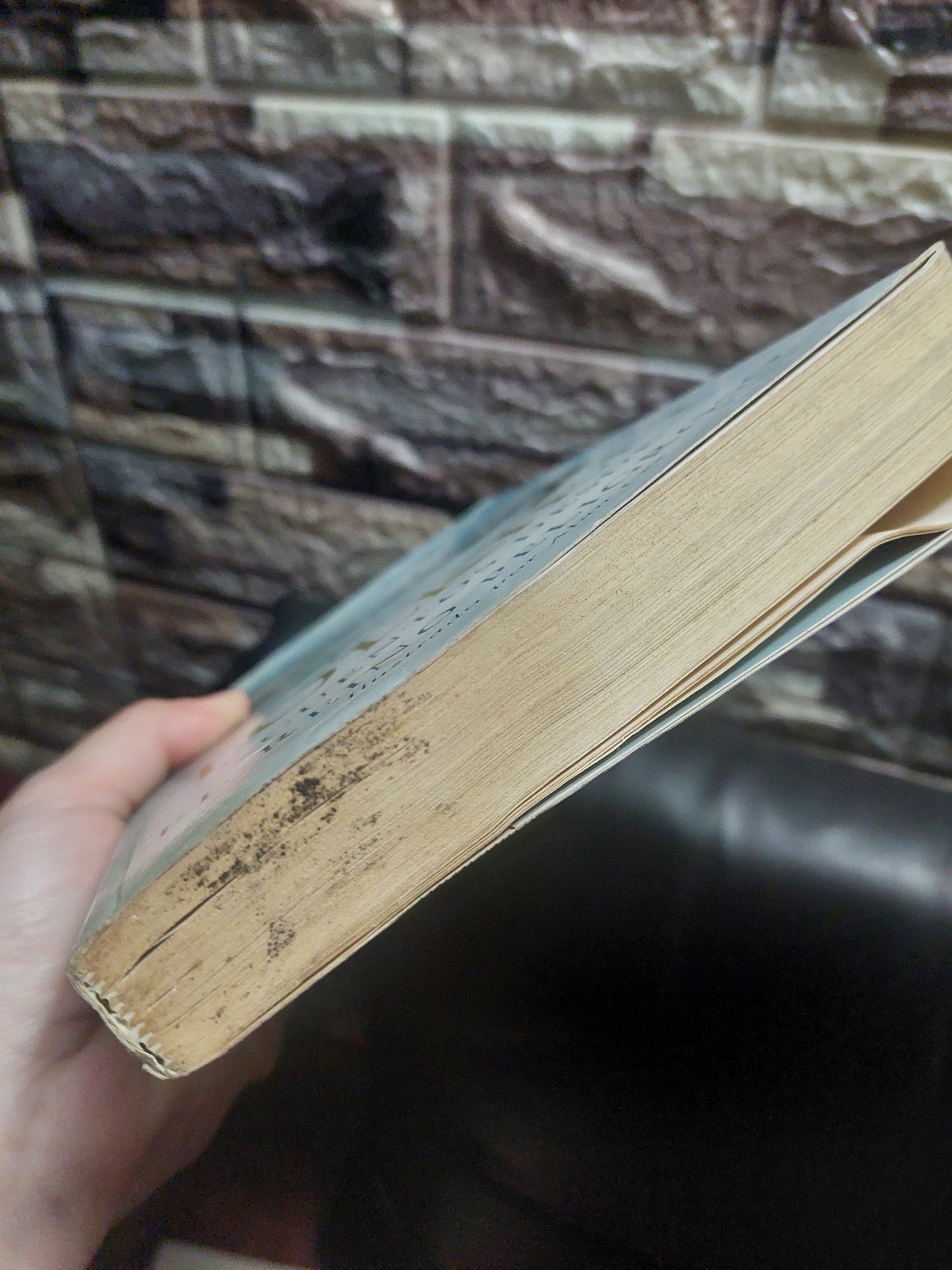Cuentos desde el Reino peligroso - J. R. R. Tolkien (algunos detalles de humedad)