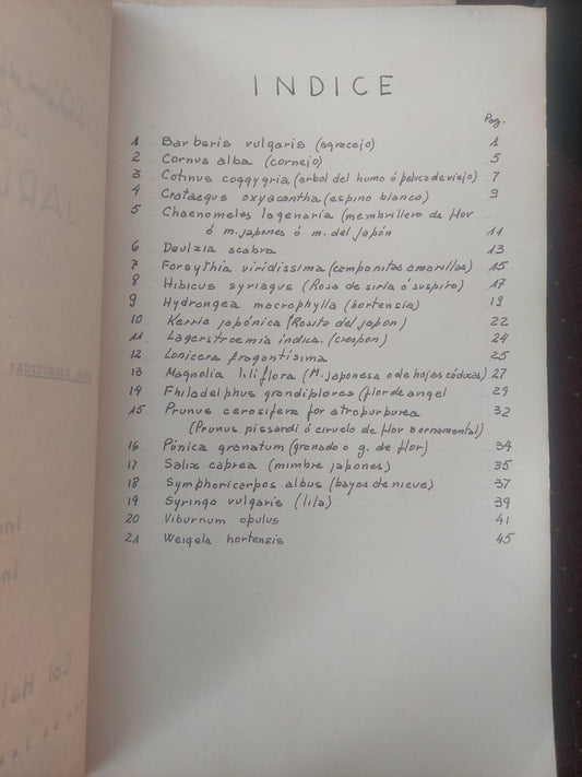 Arbustos ornamentales de jardín - Álvarez y Kaplansky