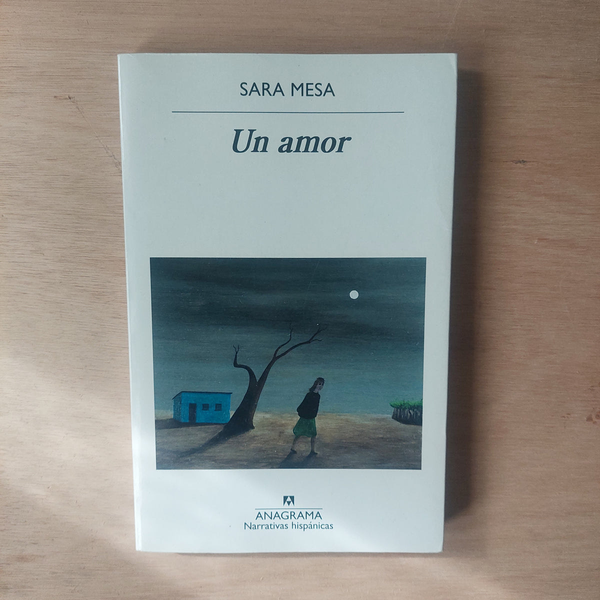 Un amor - Sara Mesa
