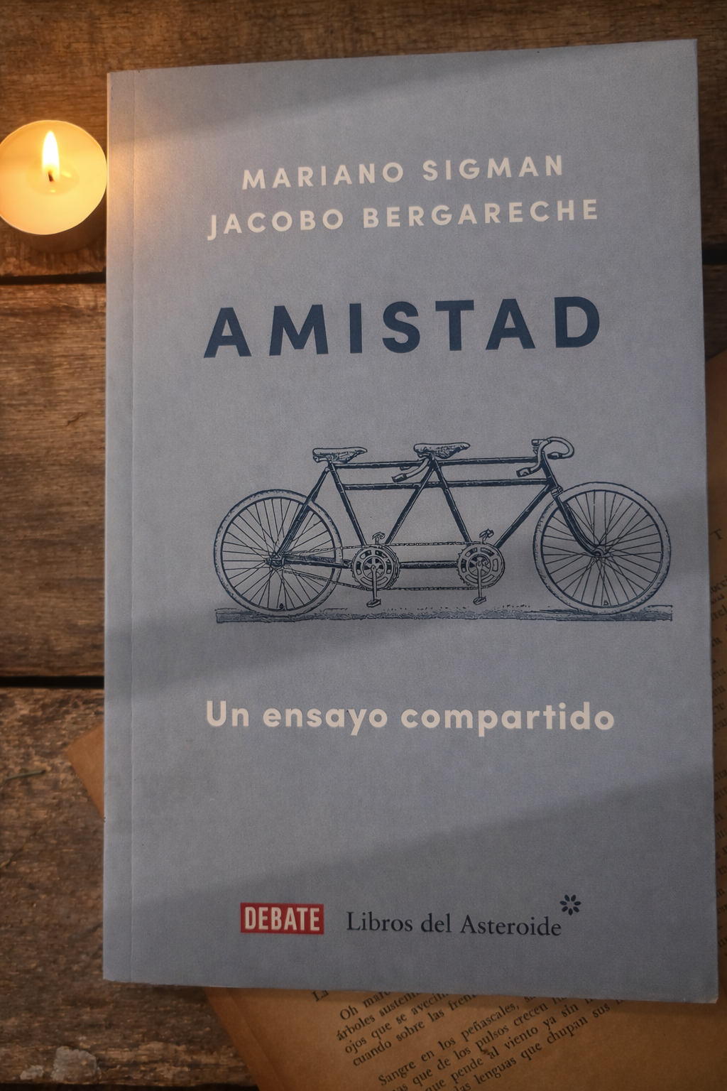 Amistad. Un ensayo compartido - Sigman y Bergareche