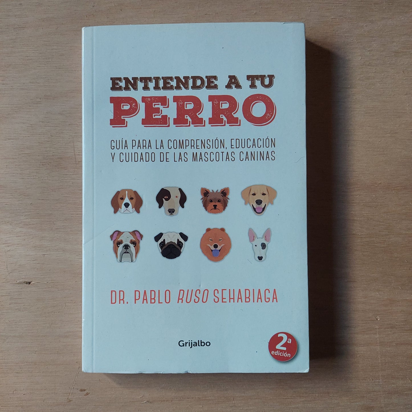 Entiende a tu perro - Dr. Pablo Ruso Sehabiaga