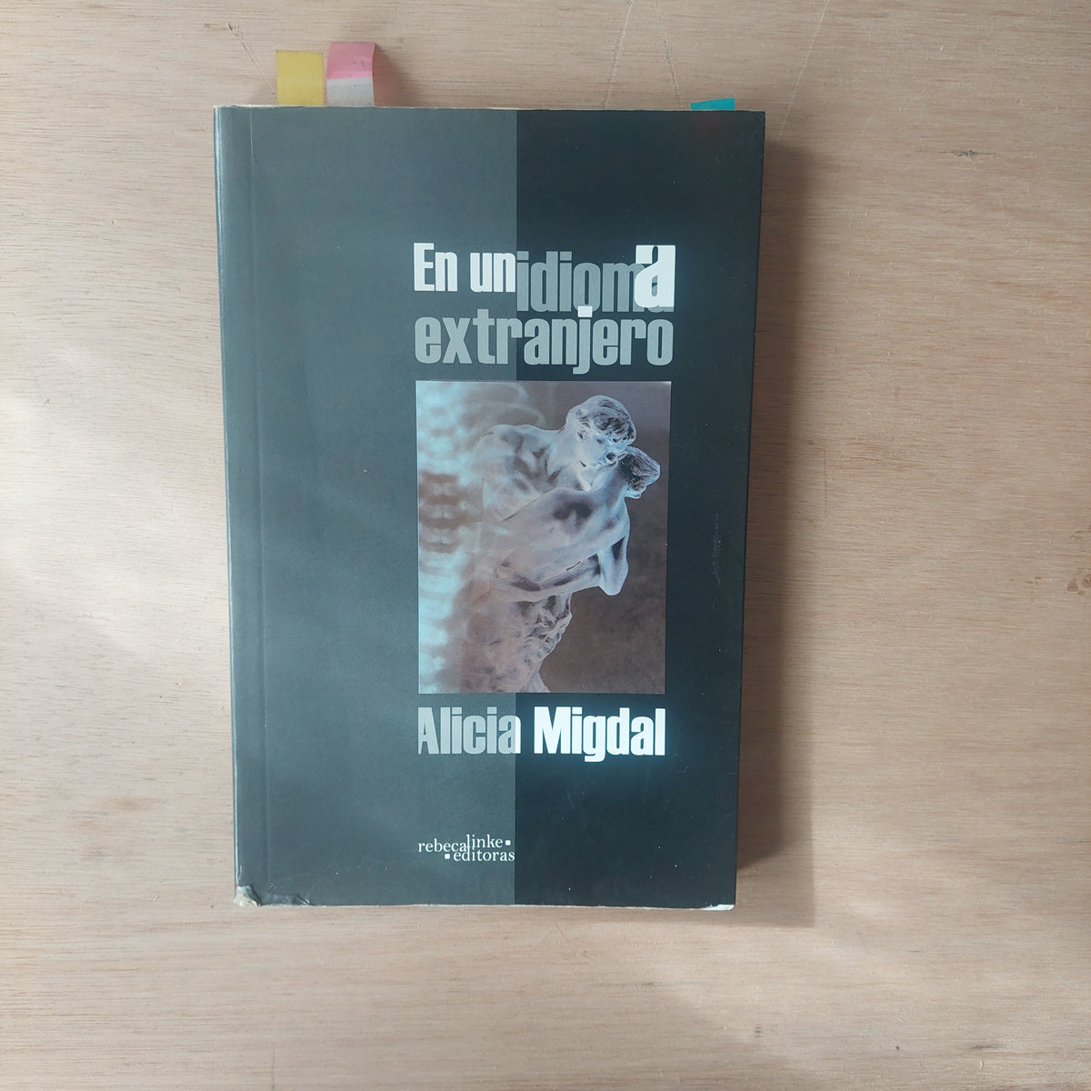 En un idioma extranjero - Alicia Migdal